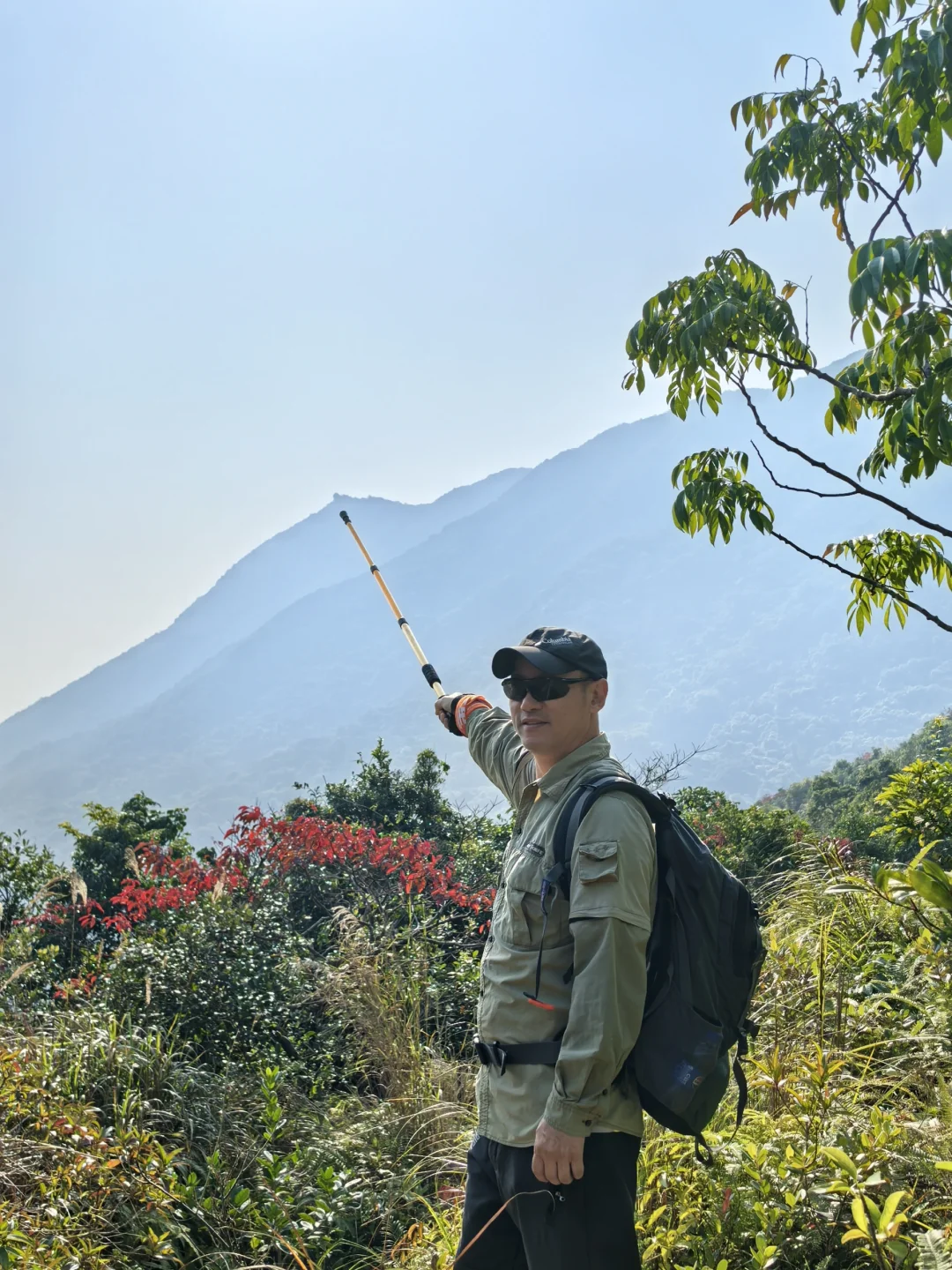 这就是望郎归。