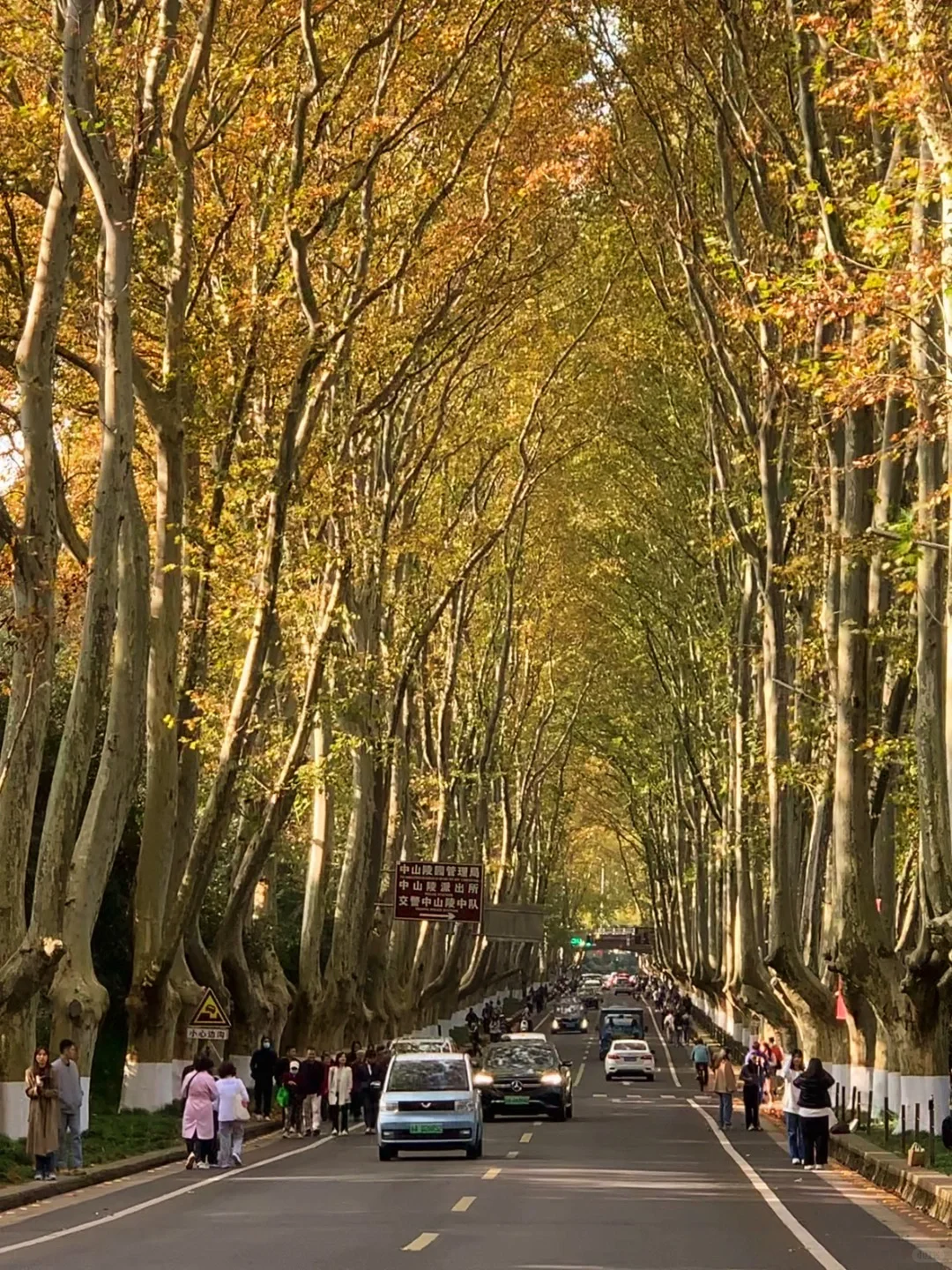 这是我买iPhone的意义🌸春夏秋冬Live~