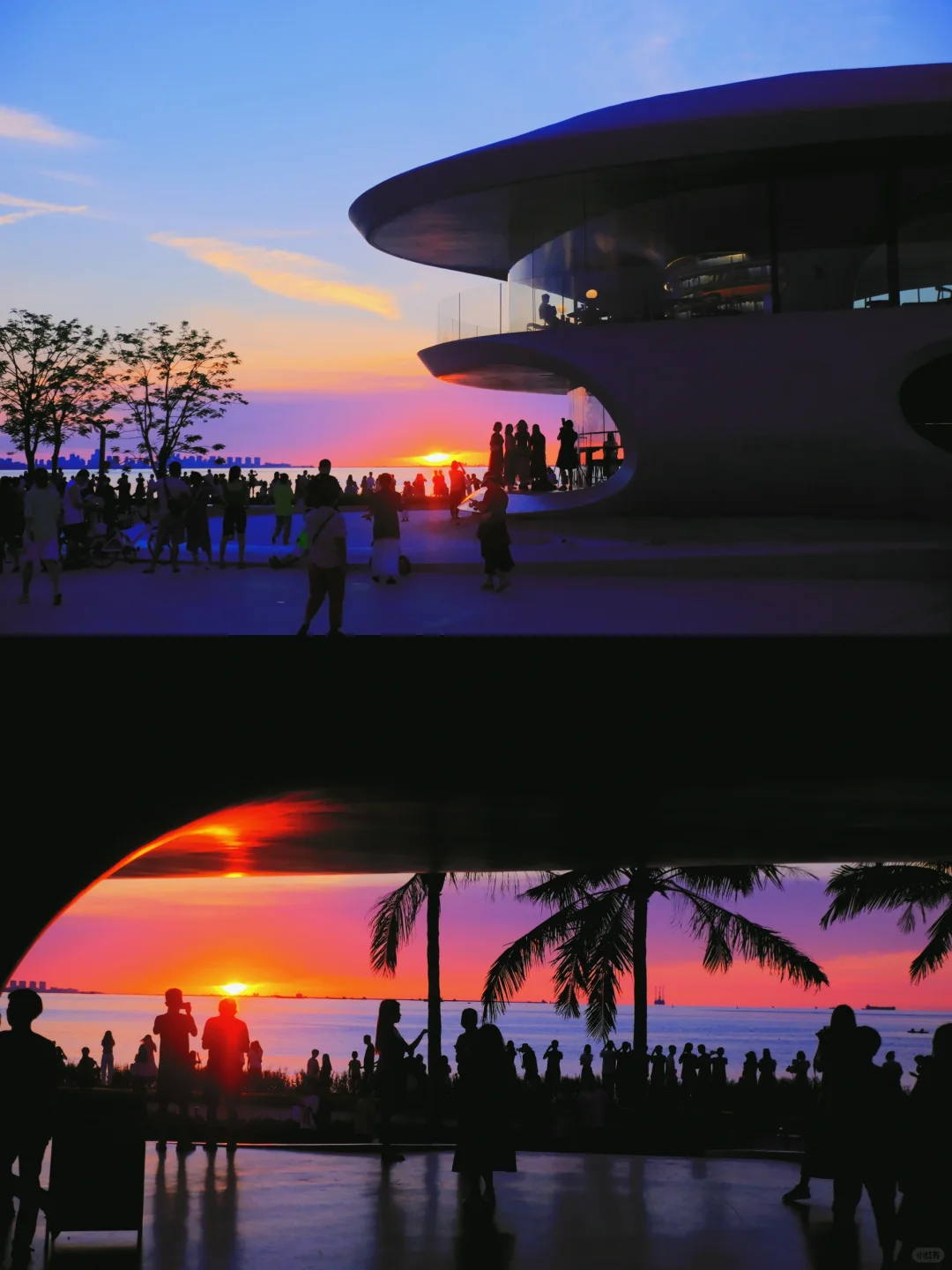 为了这18张图，我特意飞了一趟海口‼️