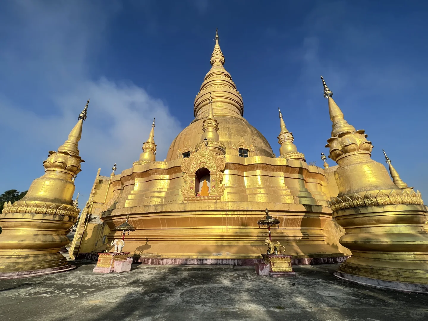 云南·瑞丽·傣王宫总佛寺·姐勒金塔·榕树王