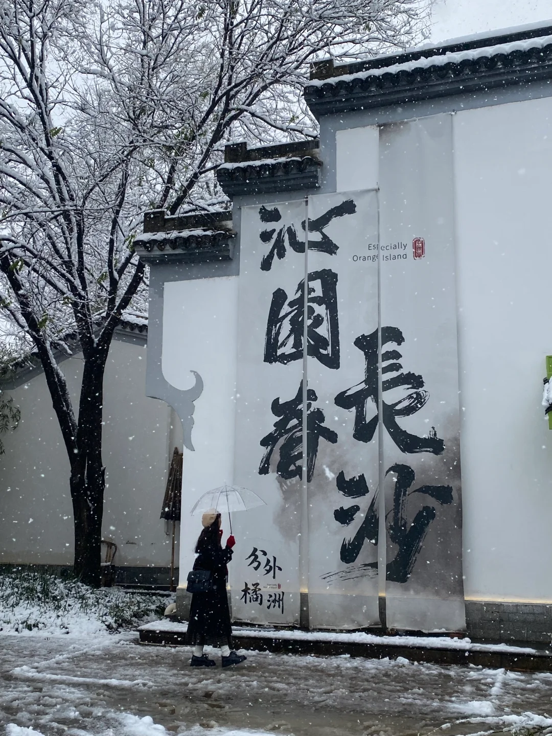 这是我买iPhone的意义🌸春夏秋冬Live~