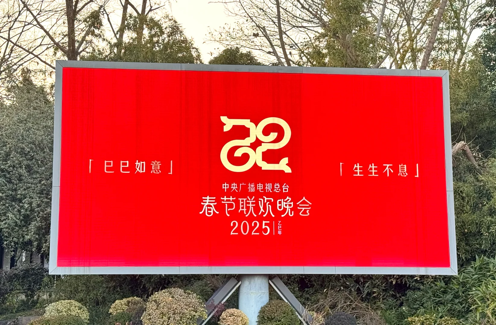 央妈亲选🏮