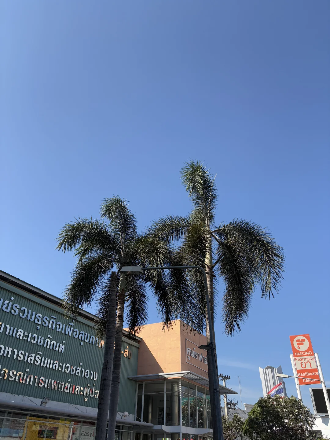 泰国真的很好玩（戒断反应）