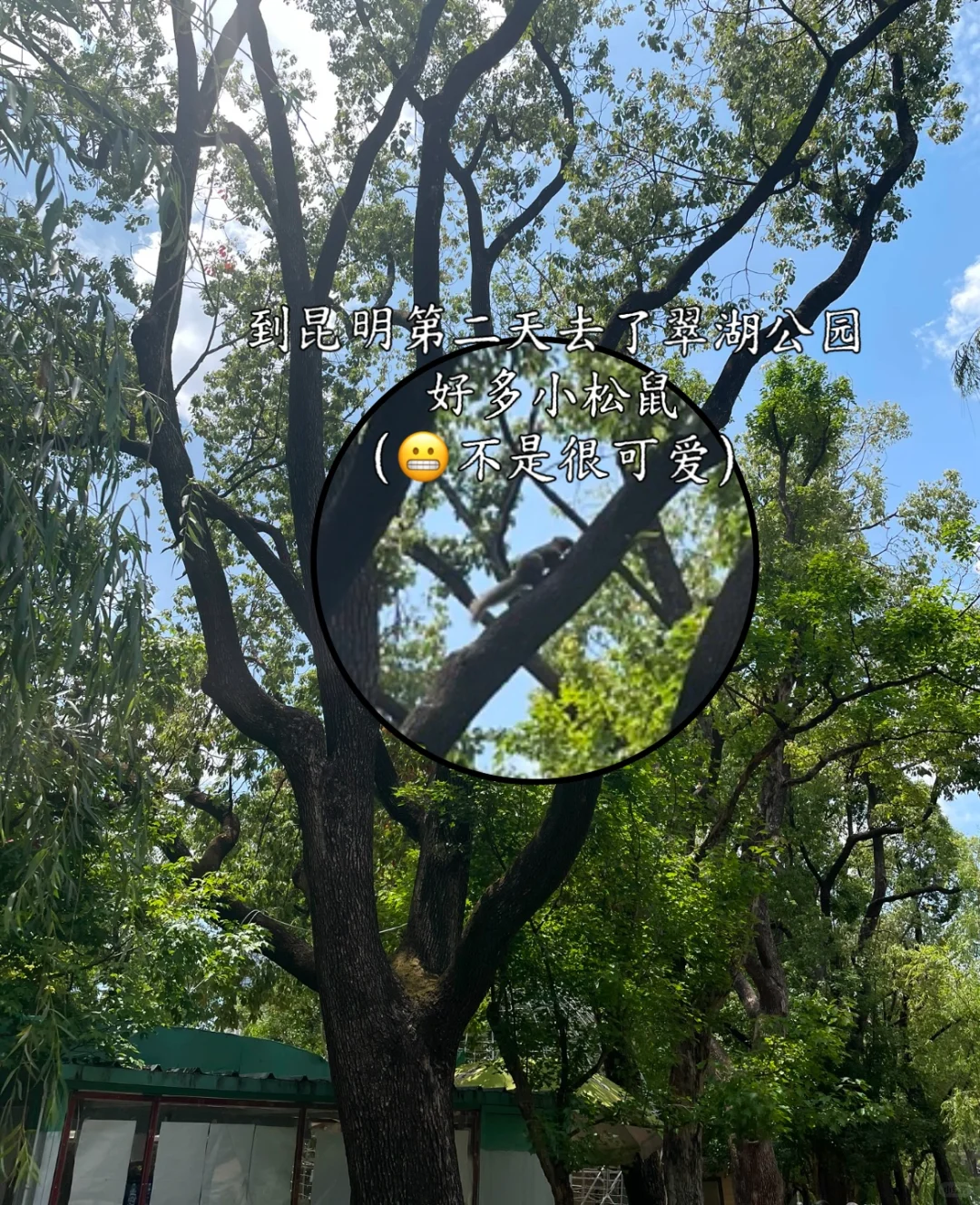 云南7天6夜旅游攻略丨昆明-丽江-大理