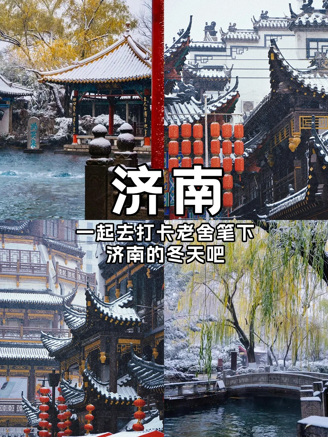 一起去打卡老舍笔下济南的冬天吧‼️