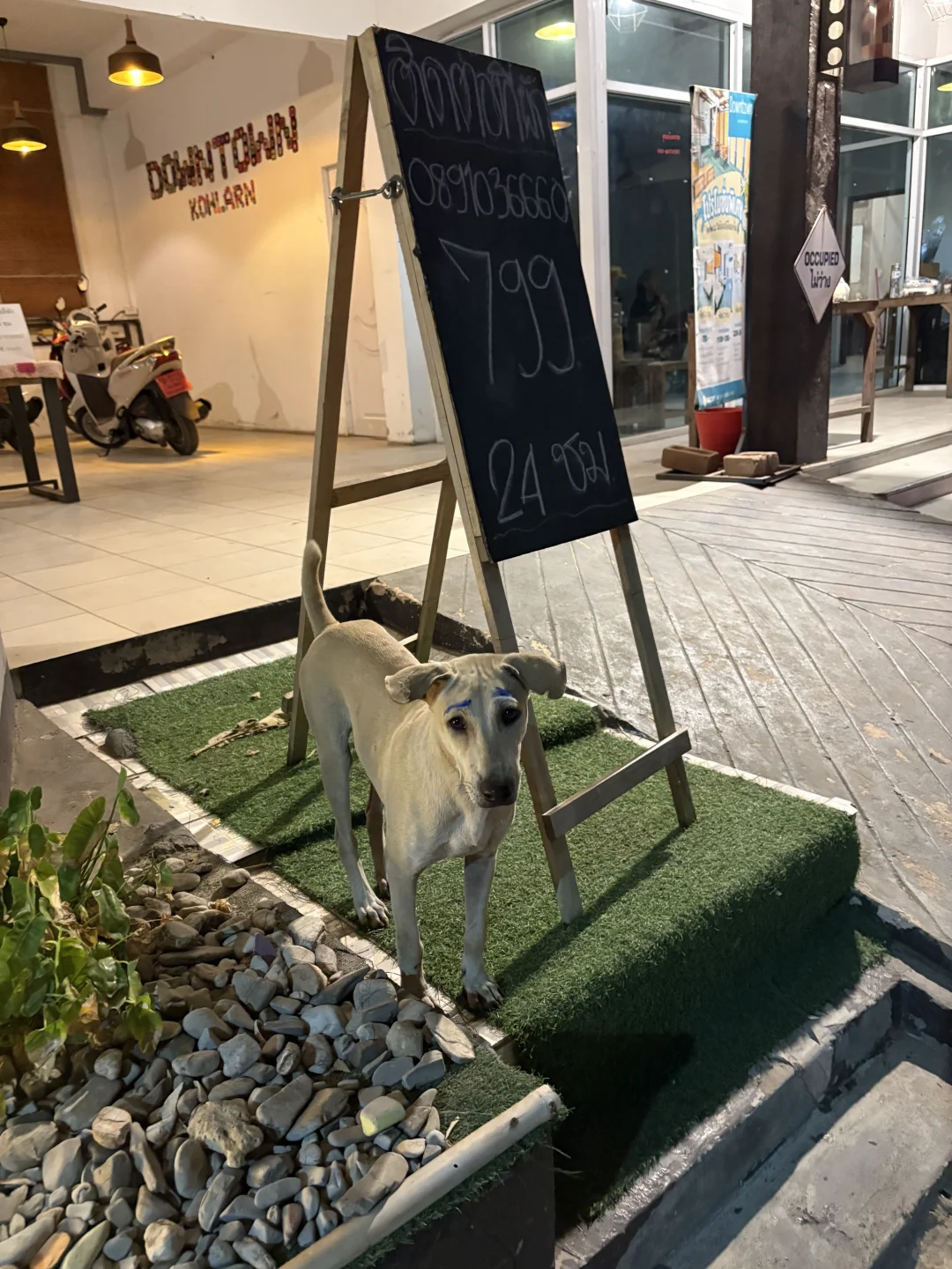 泰国真的很好玩（戒断反应）