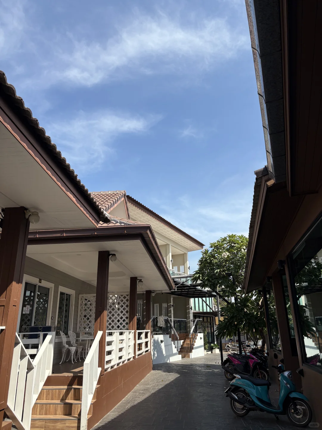 泰国真的很好玩（戒断反应）