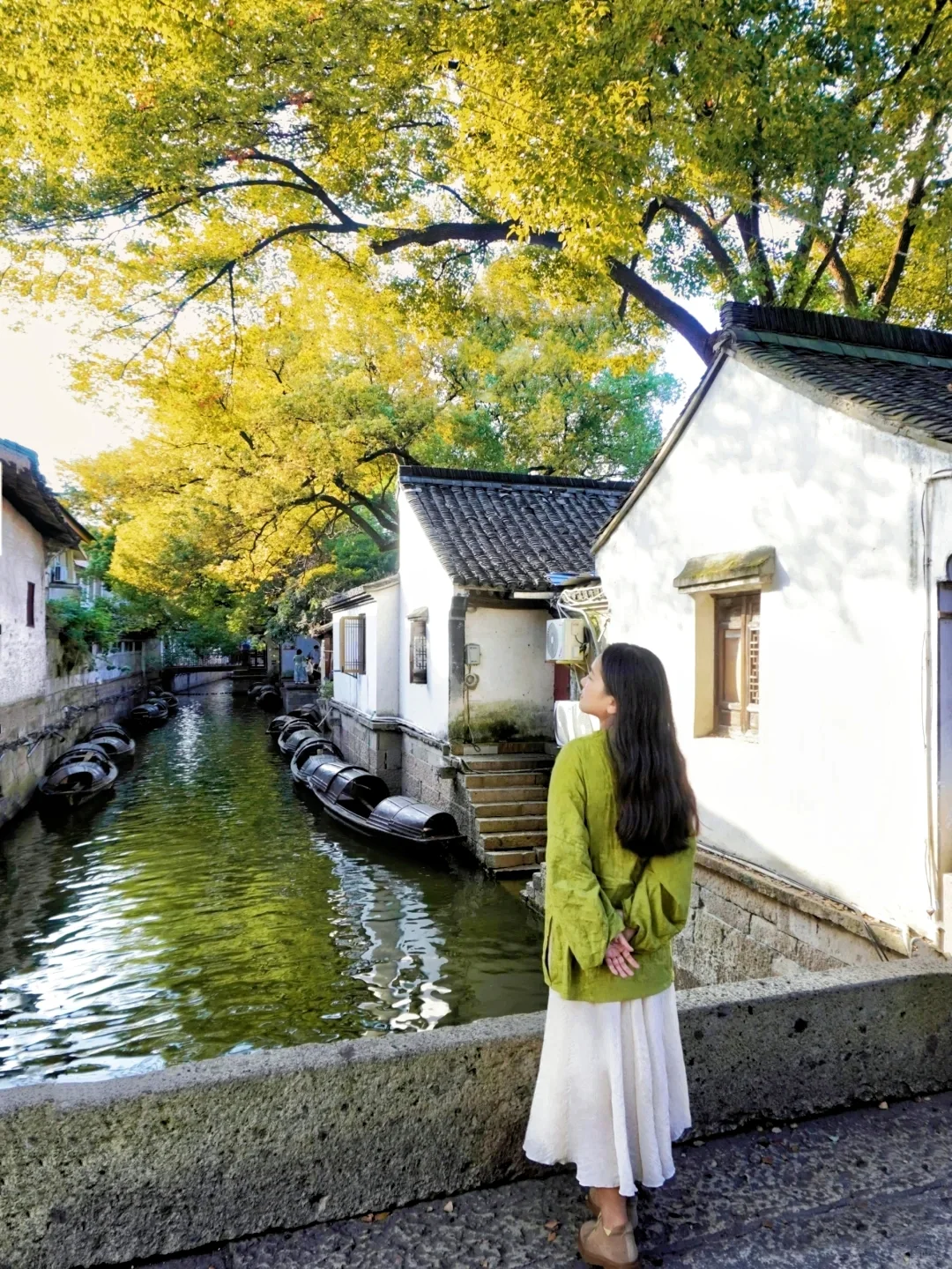 我夸绍兴一万遍，不如你亲自看一眼‼️