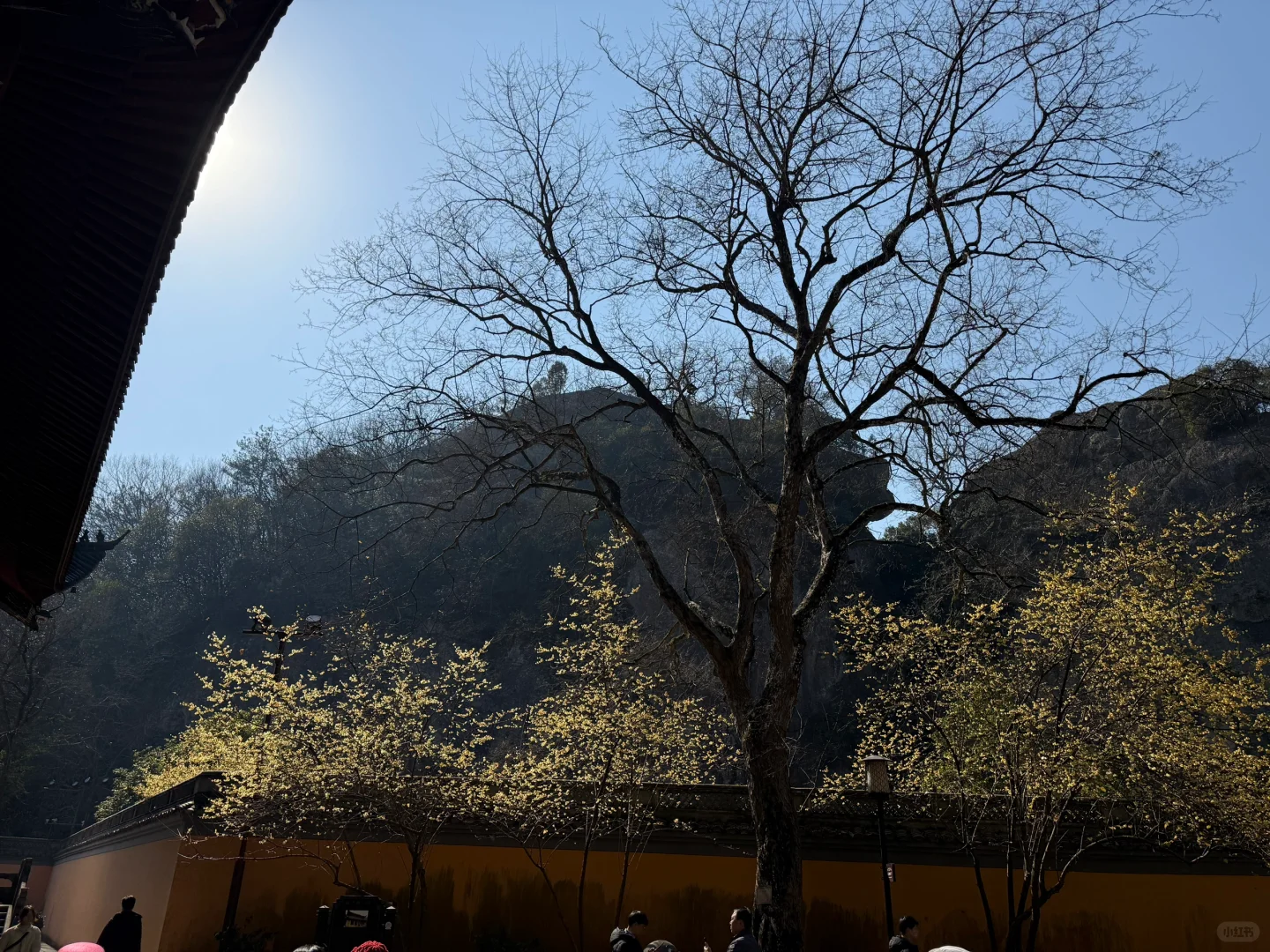 新昌大佛寺