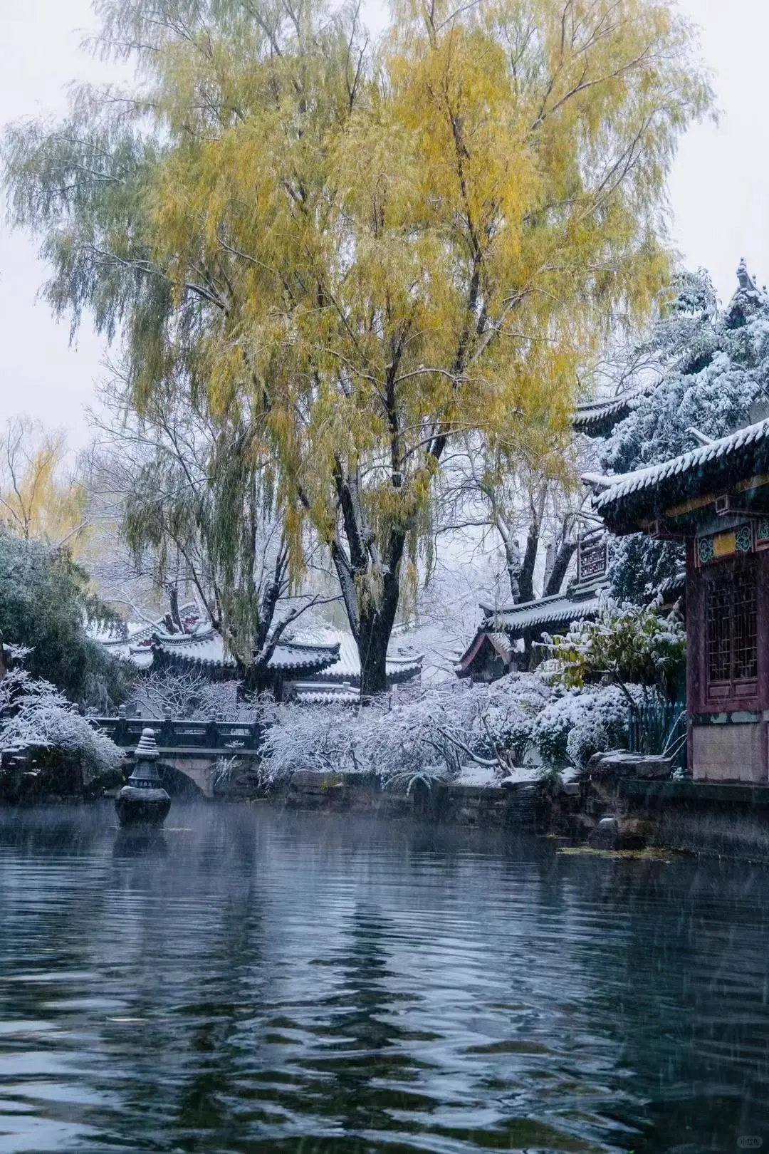 一起去打卡老舍笔下济南的冬天吧‼️