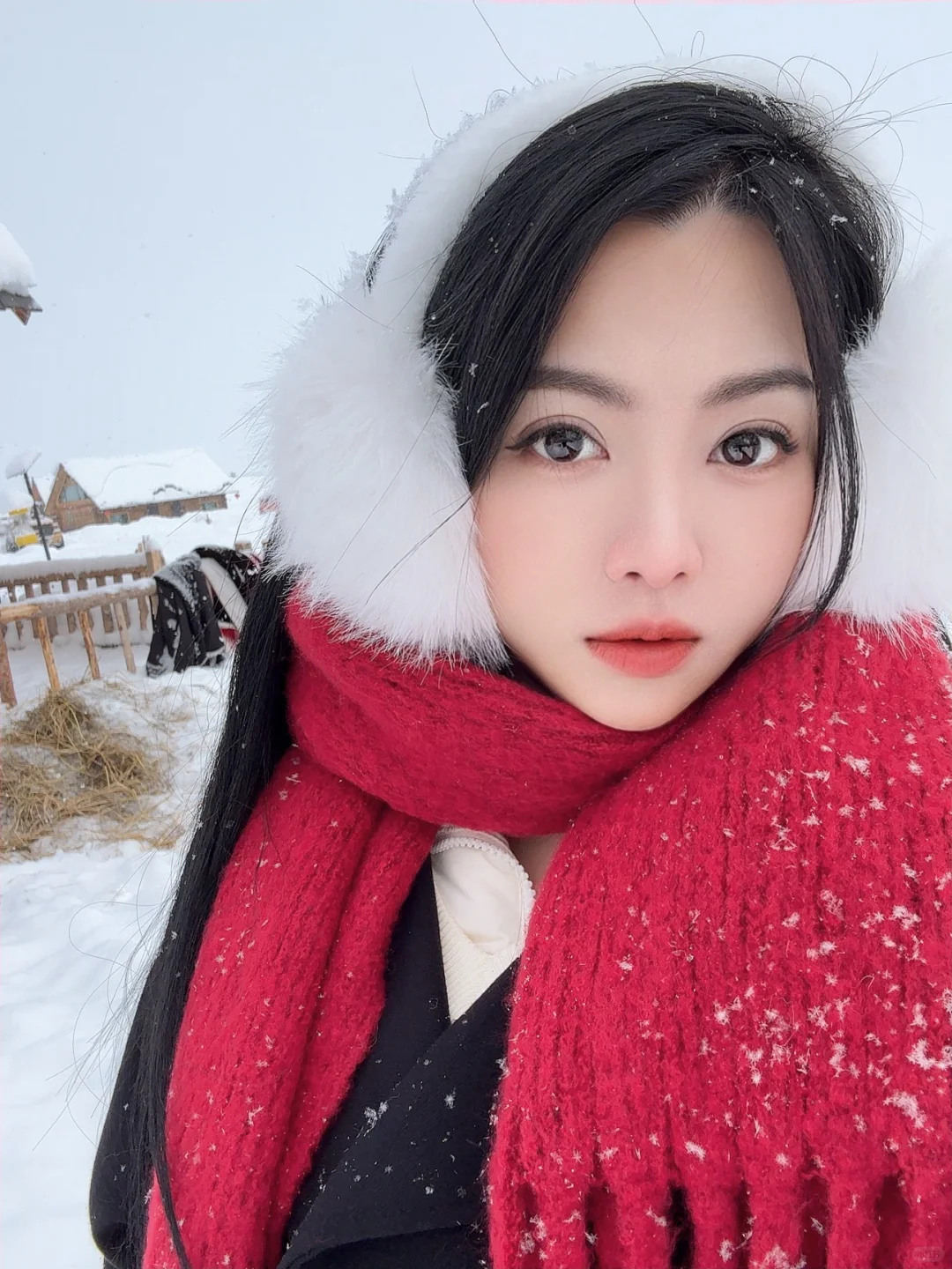 别人都有旅游搭子