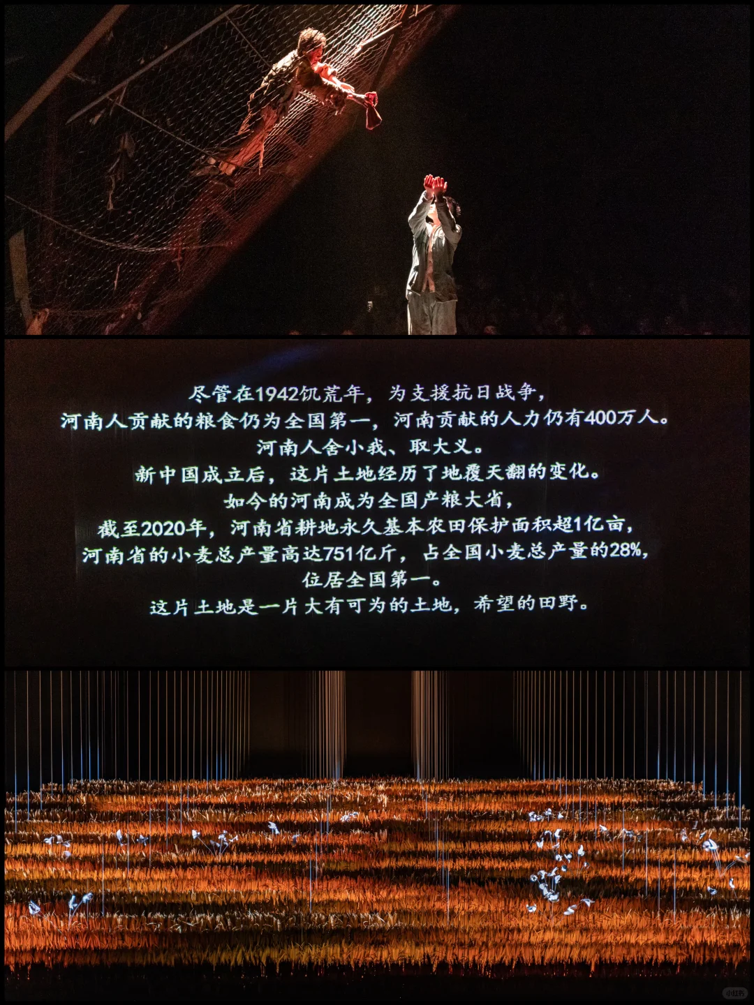 刚打卡完《只有河南》，听听我的真实感受‼️