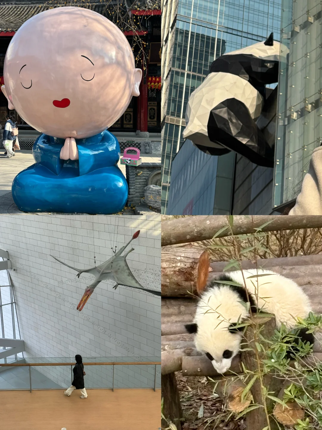 好全‼终于把成都景点说清楚了！
