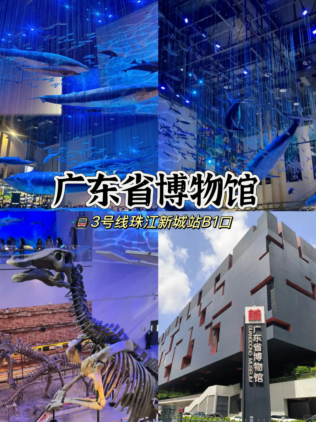 广州必去的十大景点旅游打卡攻略‼️