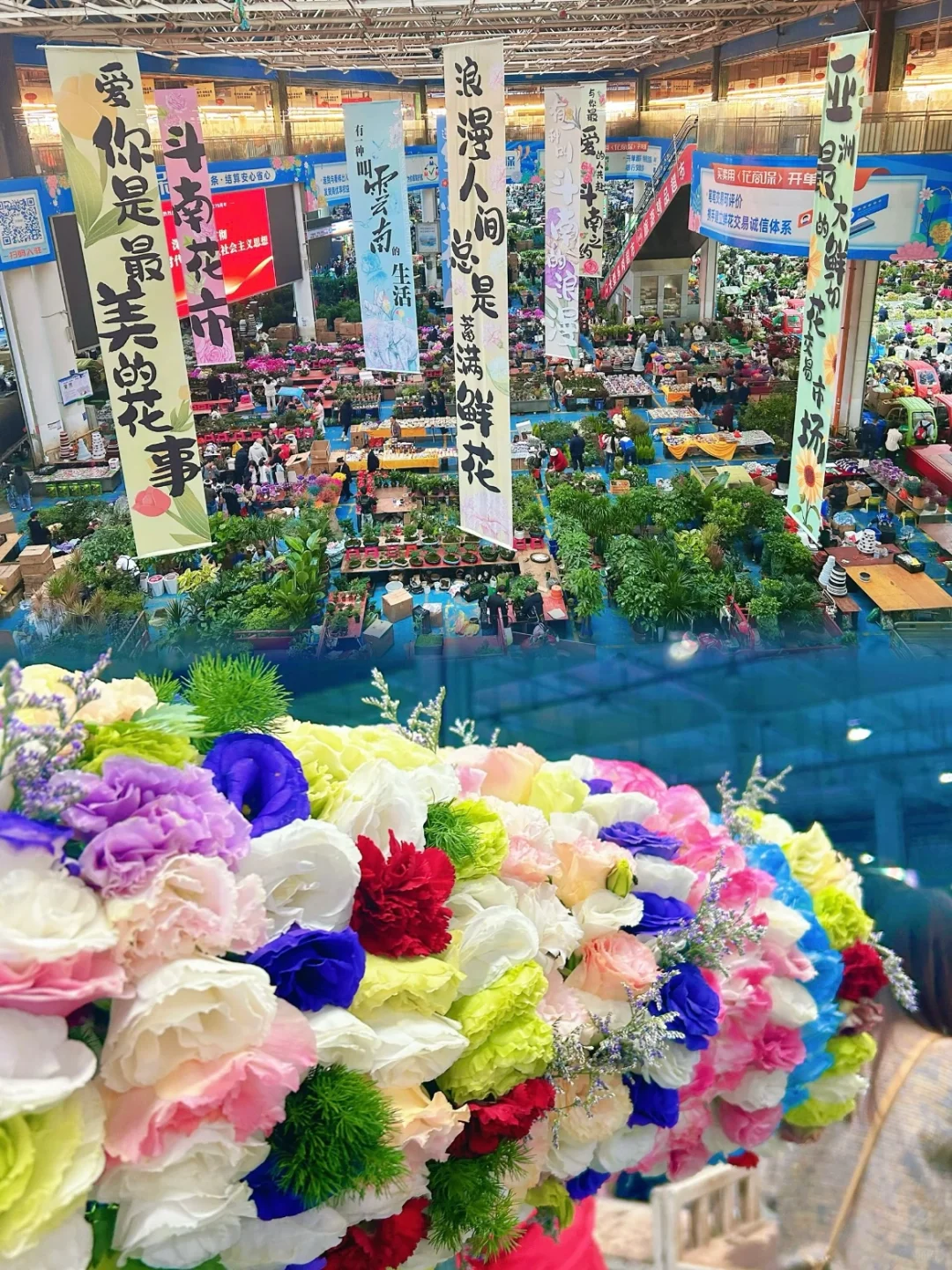 🌈春城昆明 | 必打卡景点攻略✨