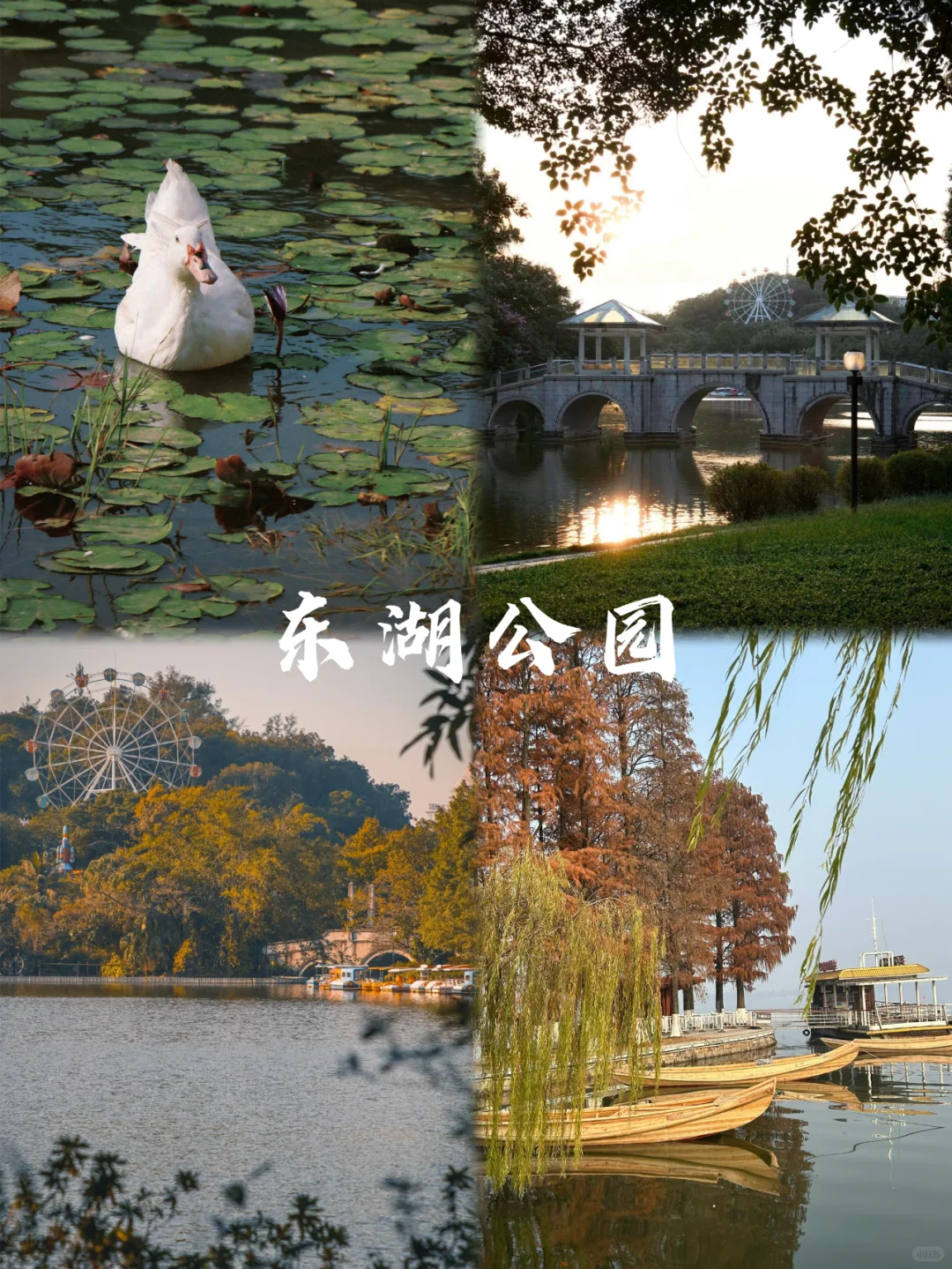 江门旅行🧳9大必打卡旅游景点看这里🔥