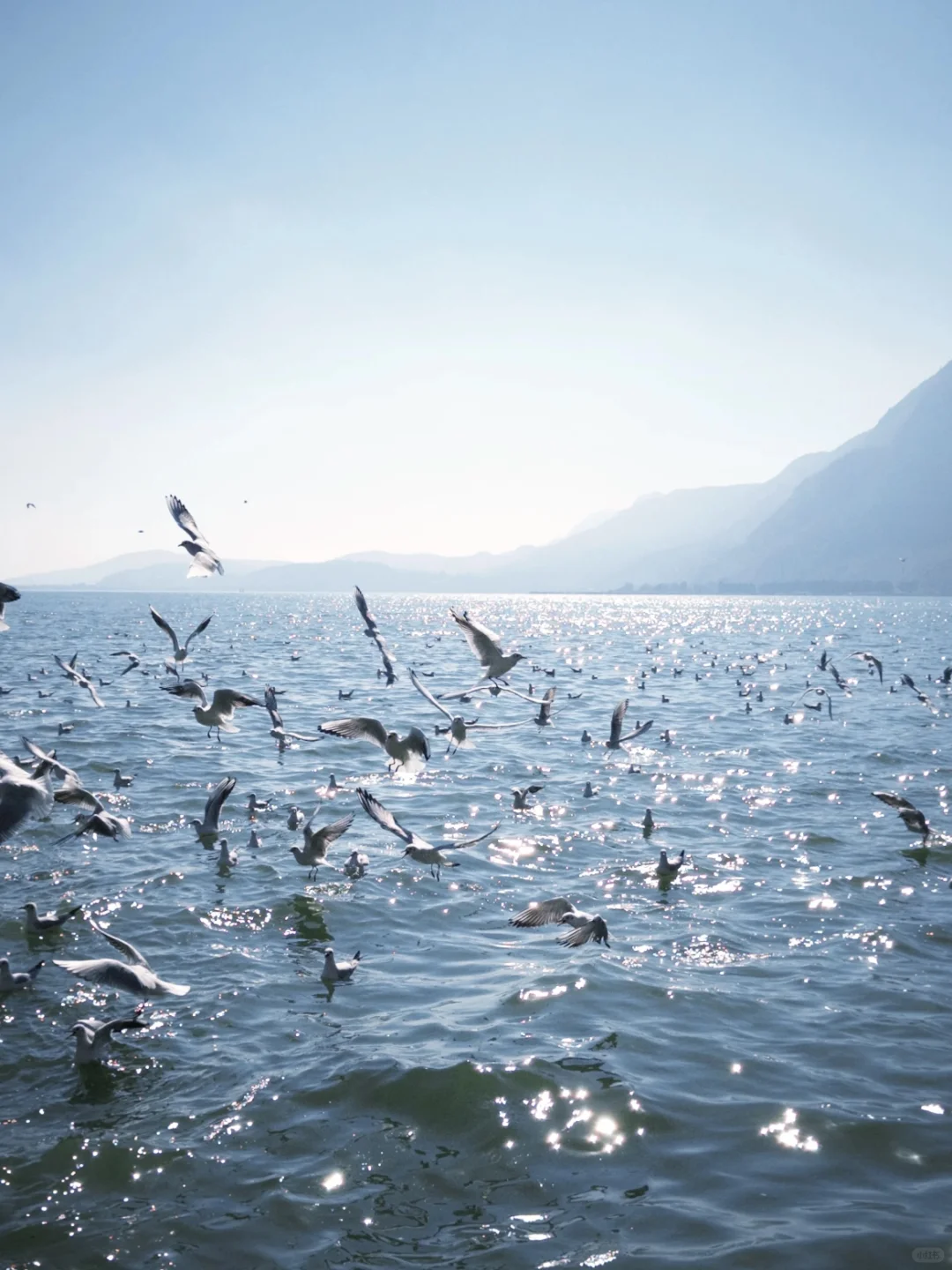 🌈春城昆明 | 必打卡景点攻略✨