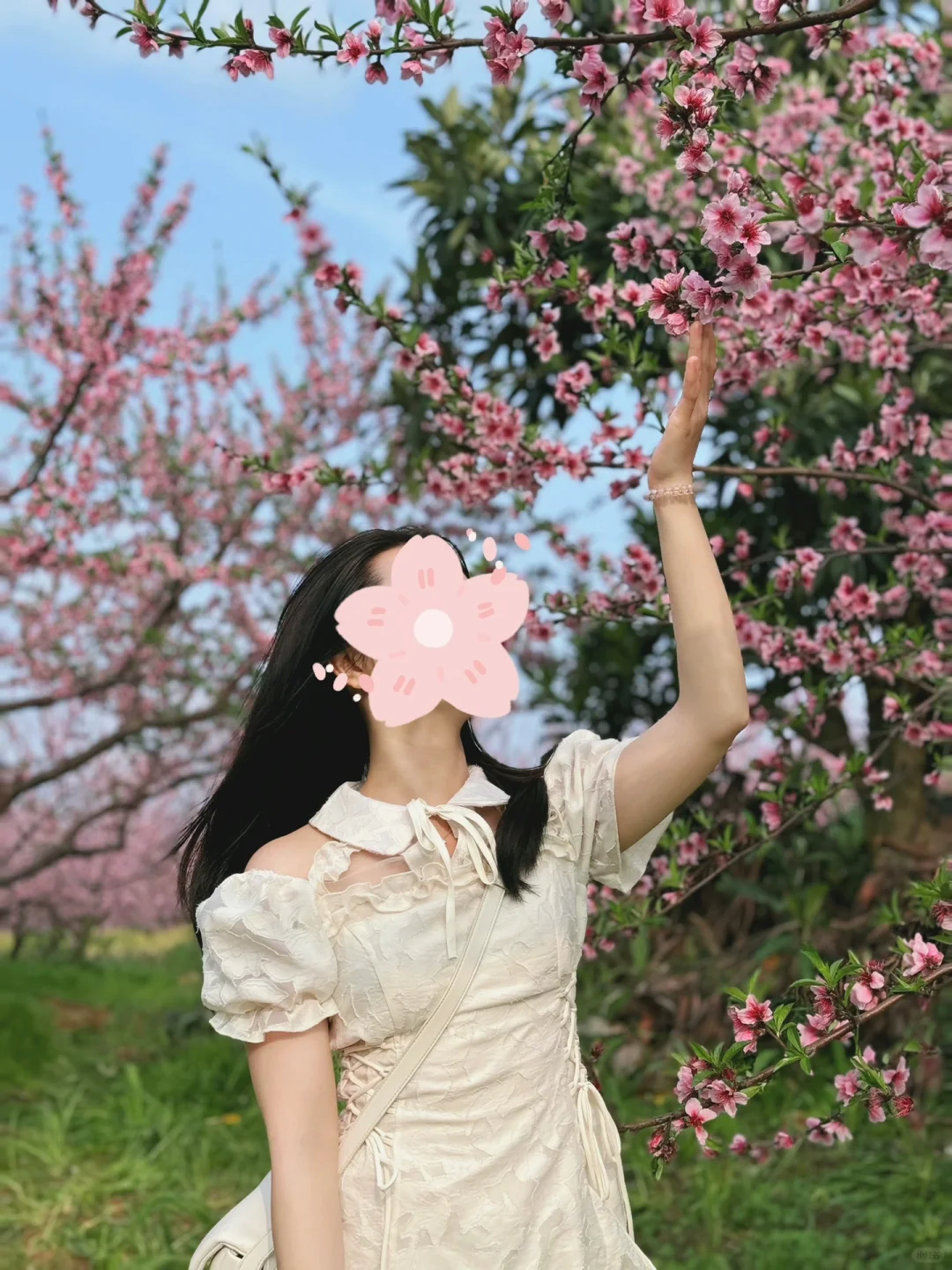 周末跨省游|人均1k的假期出游好去处！