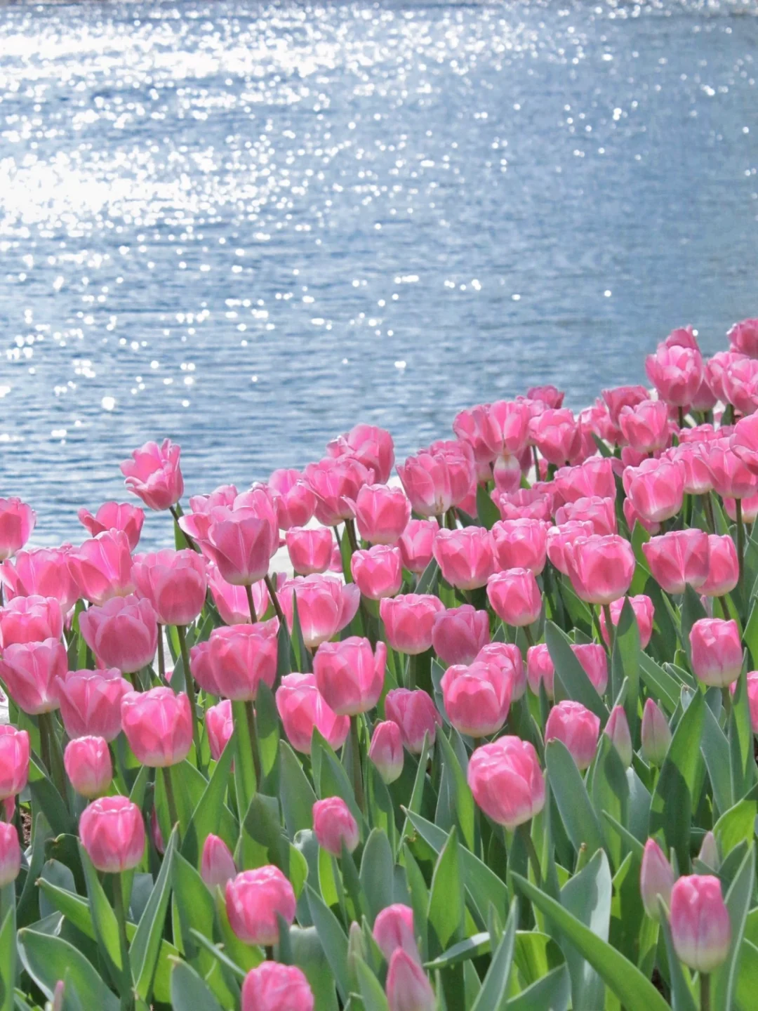 🌈春城昆明 | 必打卡景点攻略✨