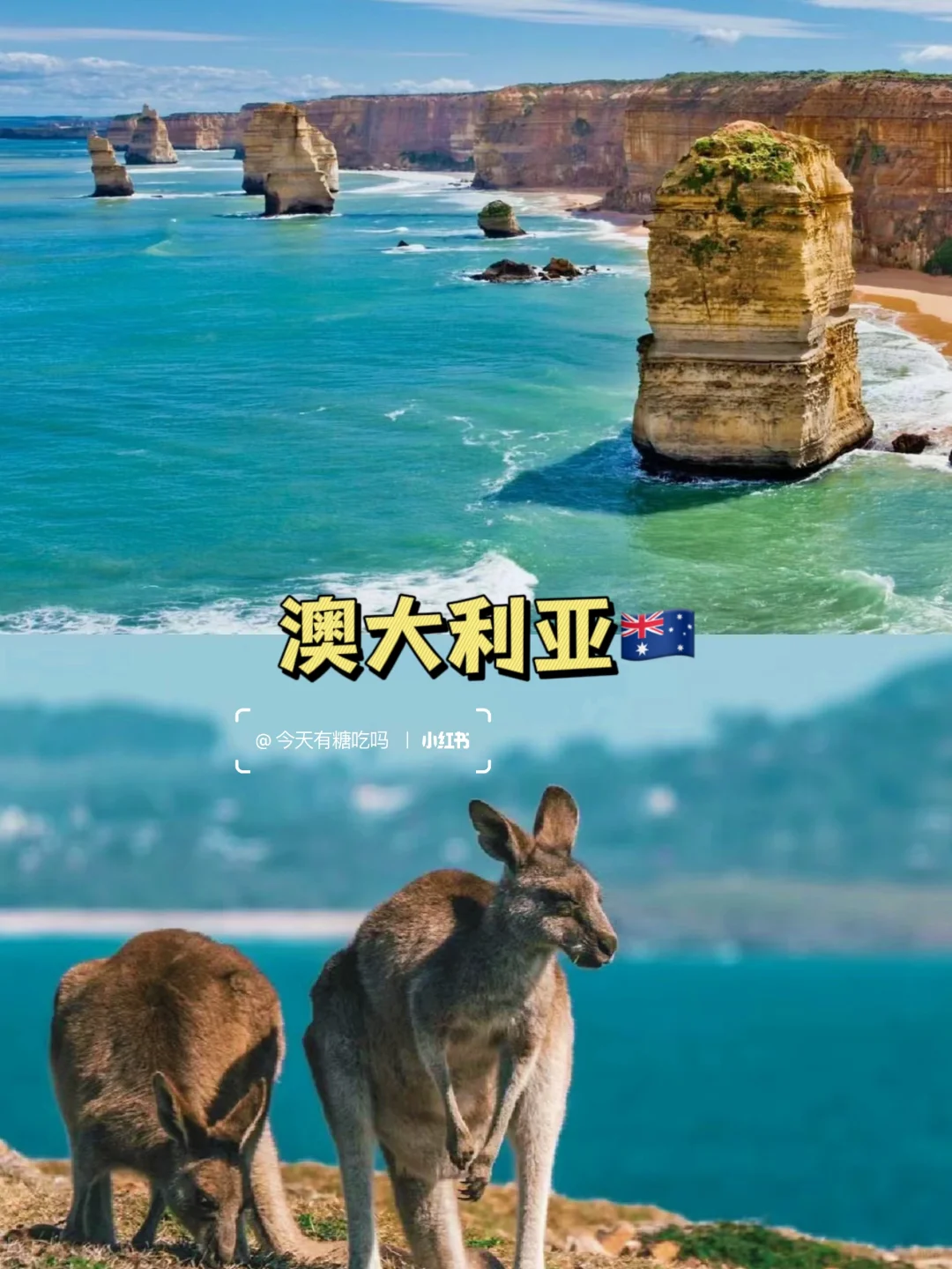 人生建议：此生必去的九个国家🗺️码下✅