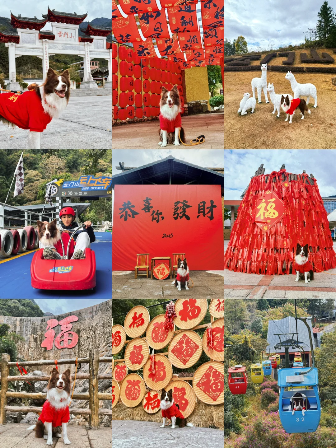 春节淡季 太适合带小狗去云门山旅游啦～