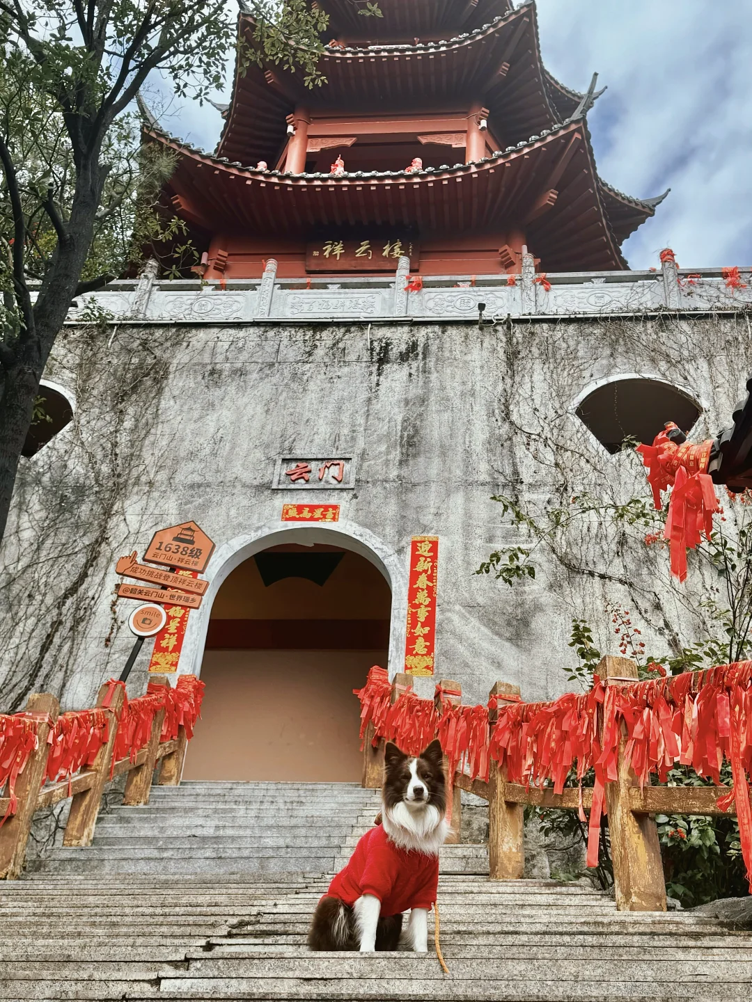 春节淡季 太适合带小狗去云门山旅游啦～