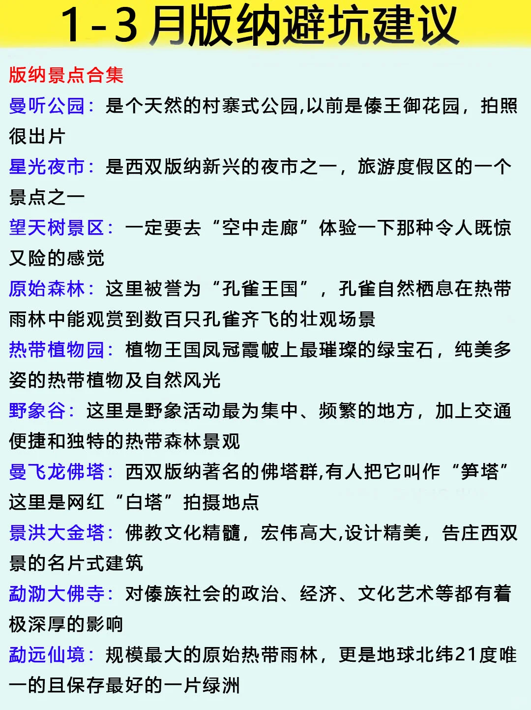 去版纳6次熬夜整理的旅游攻略！我的建议是