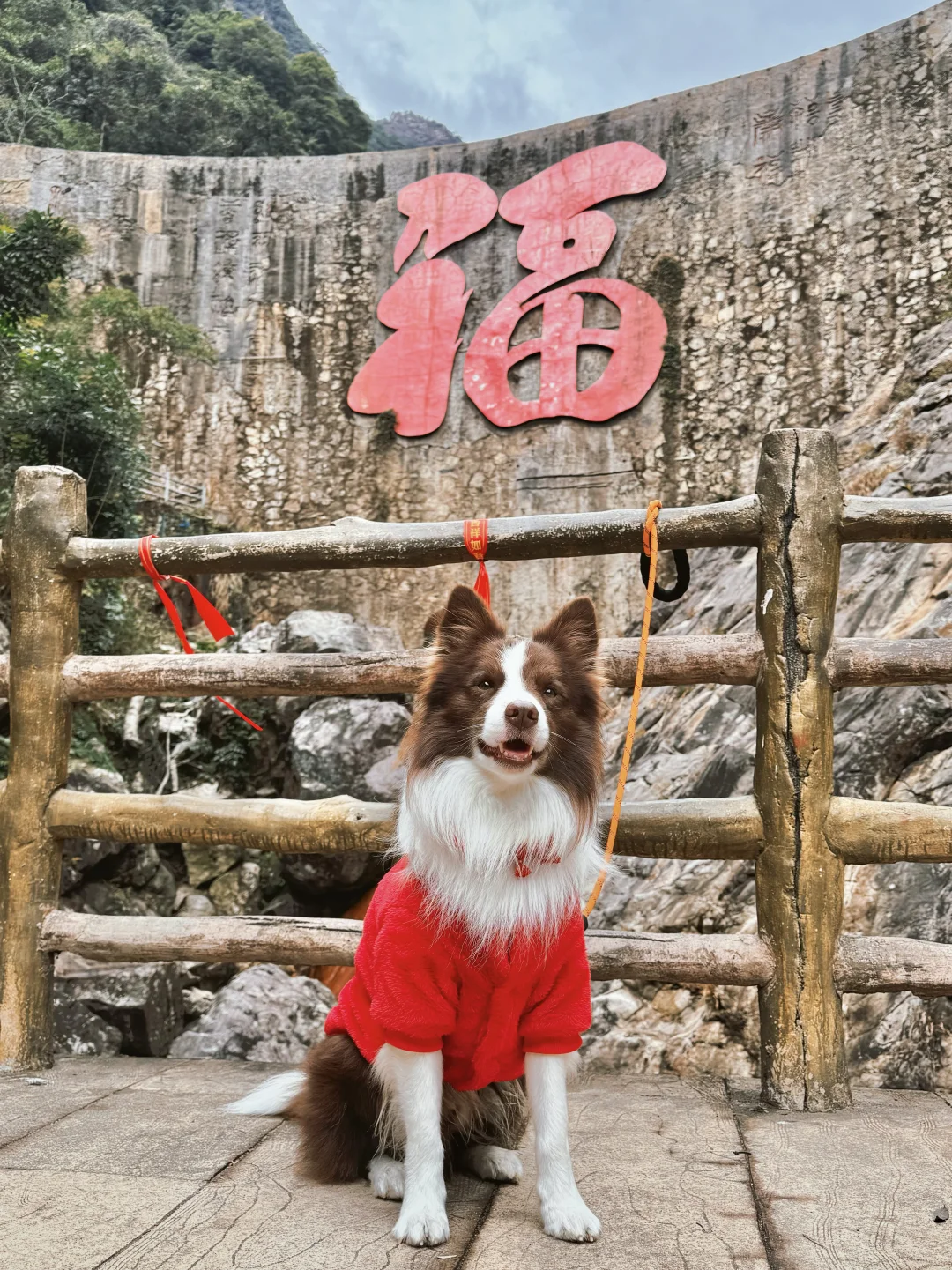 春节淡季 太适合带小狗去云门山旅游啦～