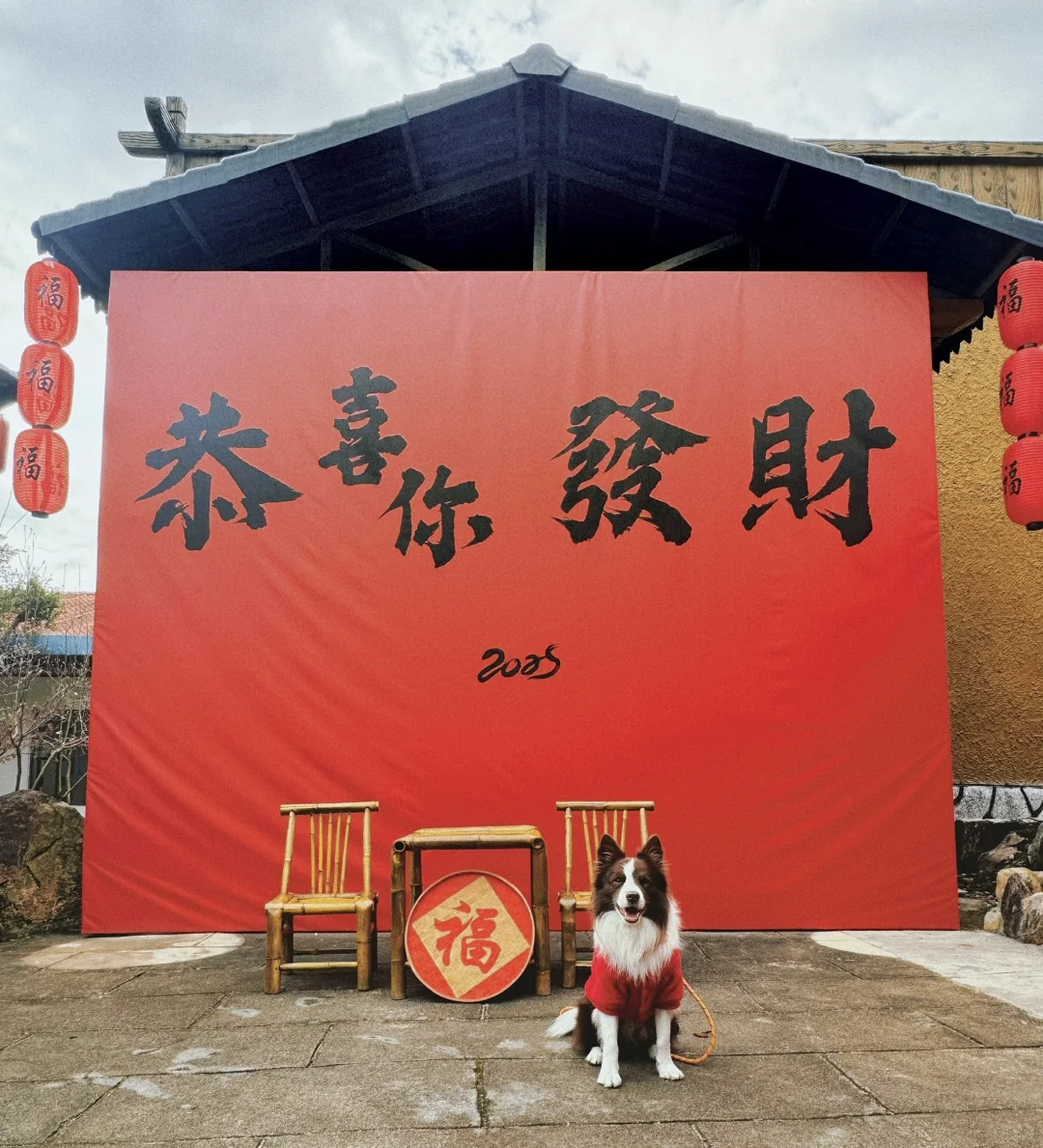春节淡季 太适合带小狗去云门山旅游啦～