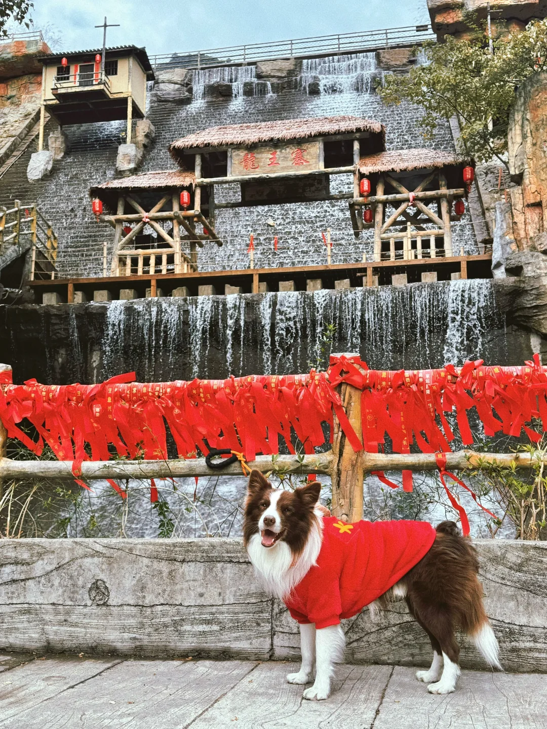 春节淡季 太适合带小狗去云门山旅游啦～