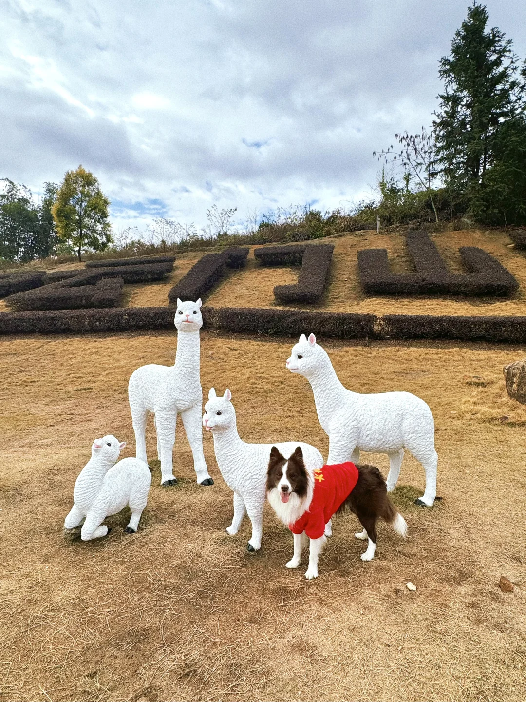 春节淡季 太适合带小狗去云门山旅游啦～