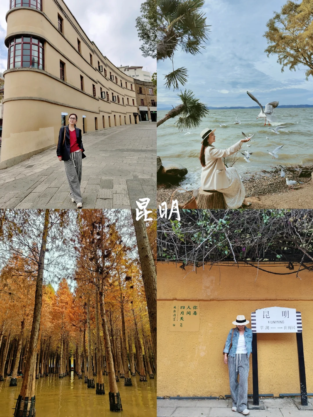 推荐几个适合过冬的旅游城市(合集)