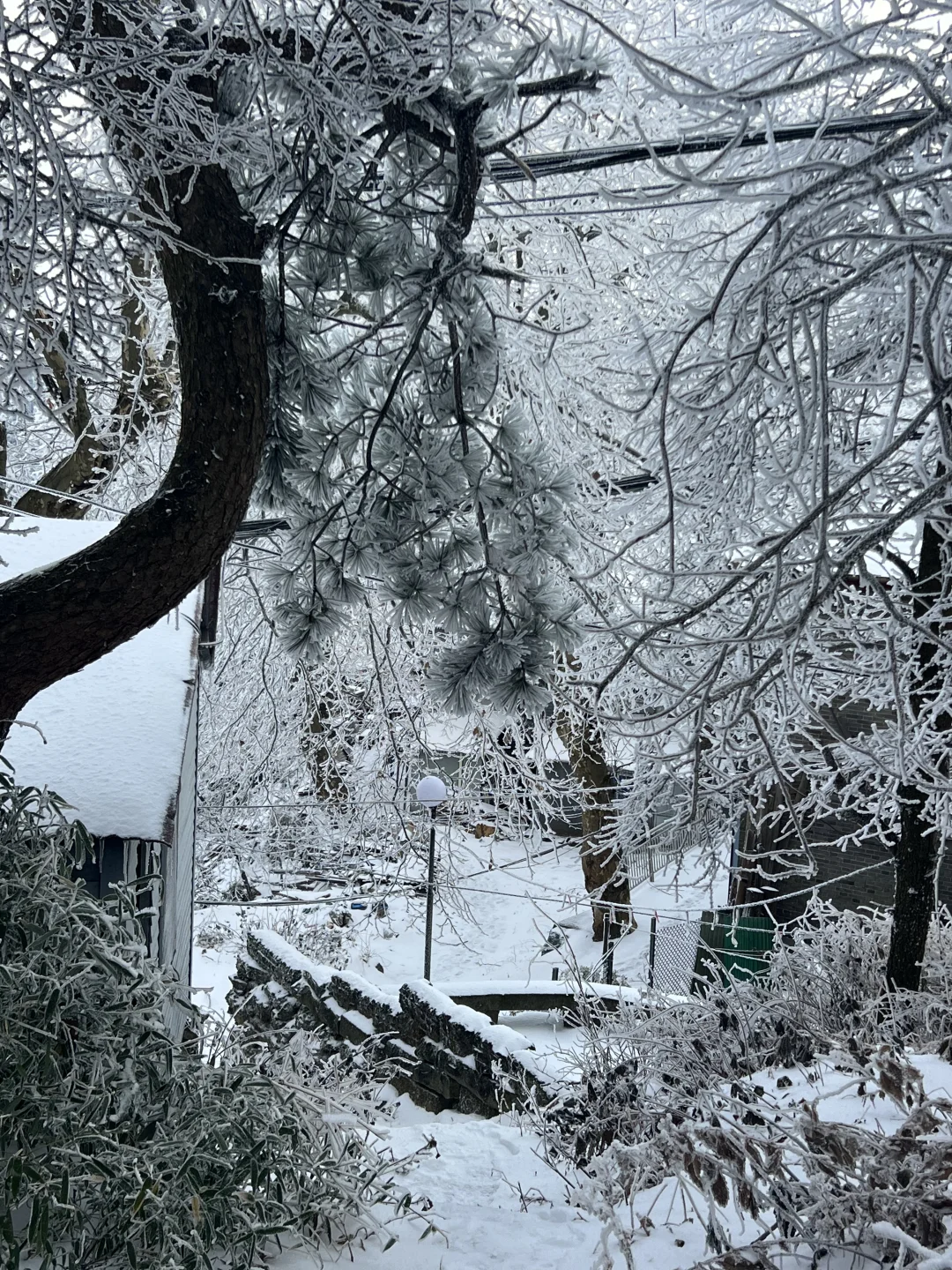 一到冬天❄️庐山就是掌管雪景的神👺【1.26】
