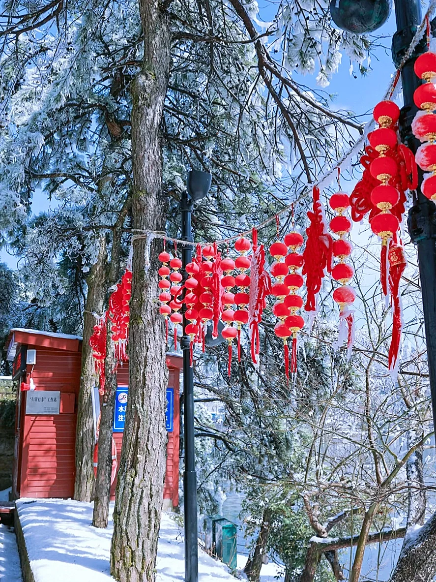 熬夜整理‼️庐山春节畅玩攻略✨ 不看后悔！