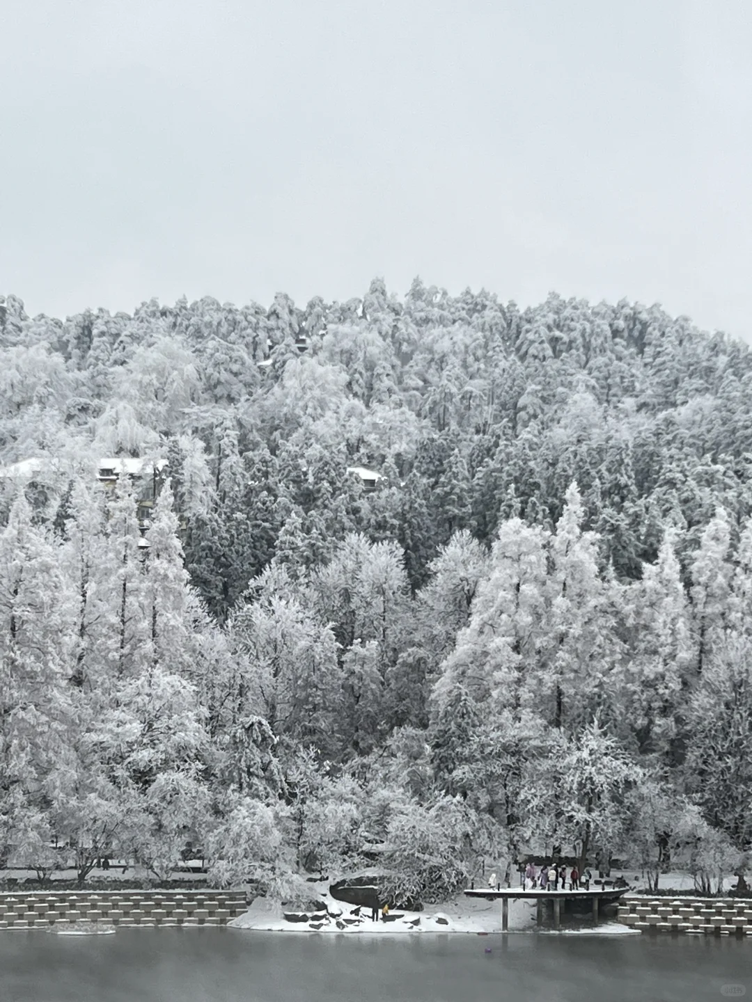 一到冬天❄️庐山就是掌管雪景的神👺【1.26】