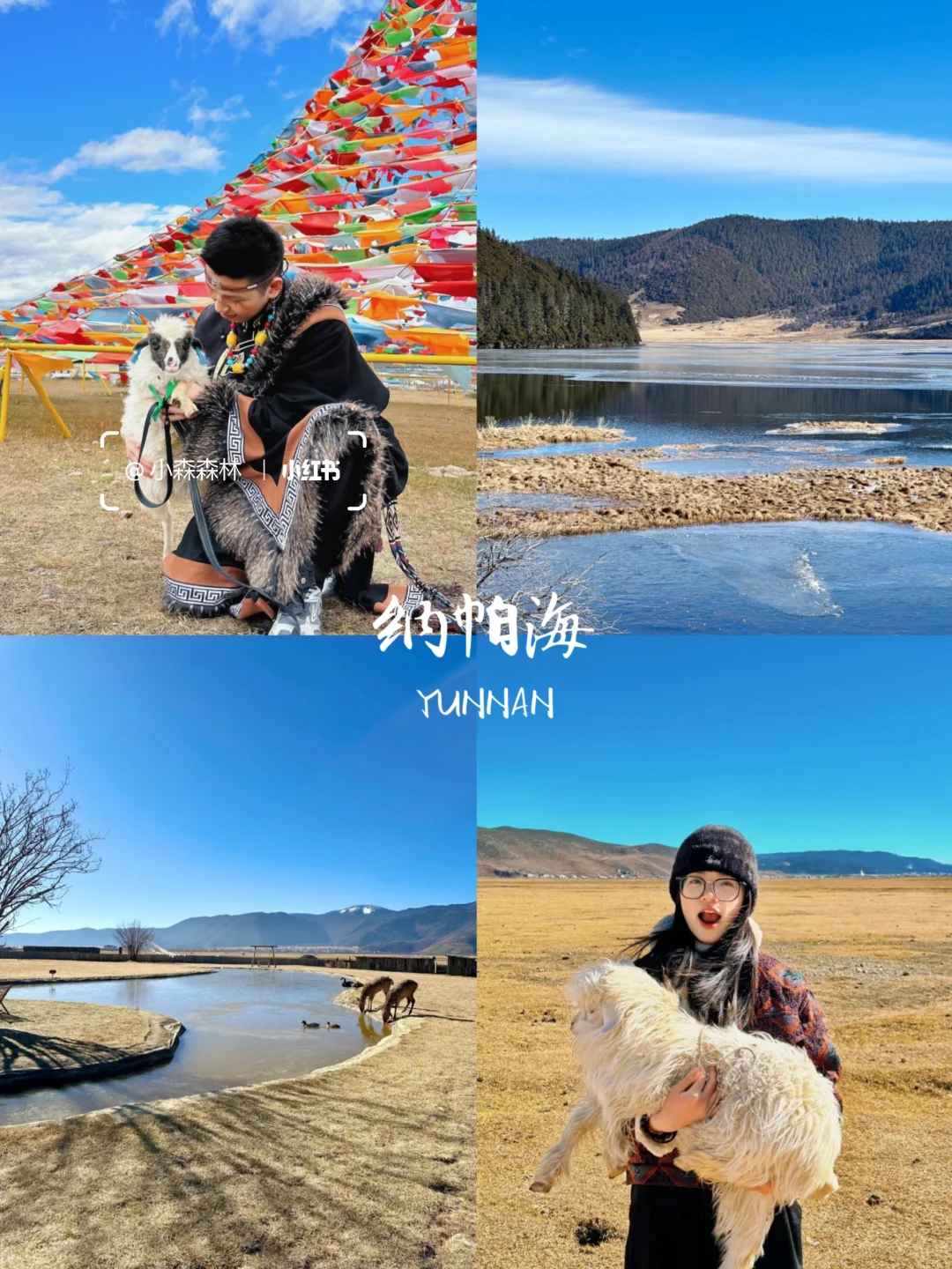 云南旅行👫七天花了2800，情侣路线❗