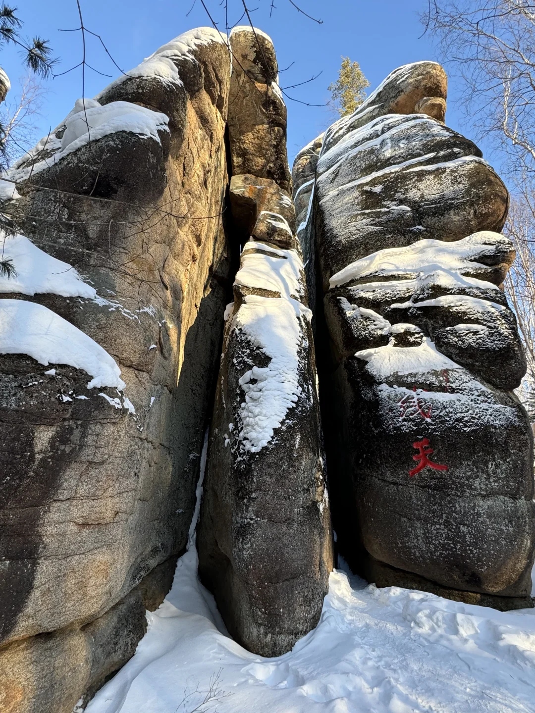 冬日反向旅游！闯入伊春的冰雪童话森林