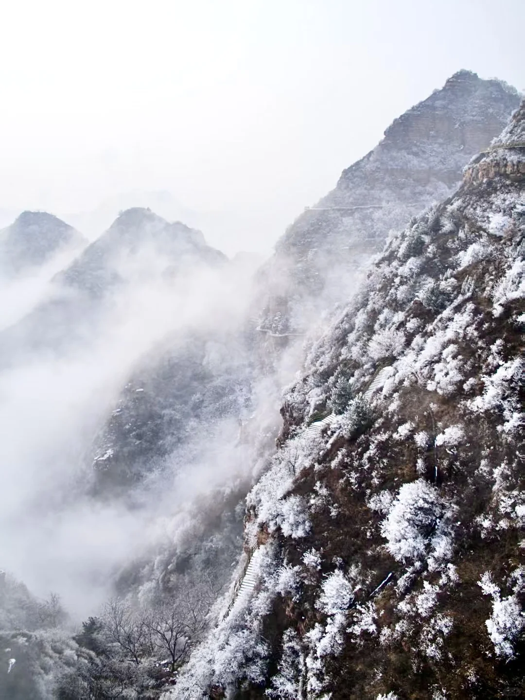 山不见我 我自去见山⛰️（春节篇🧧