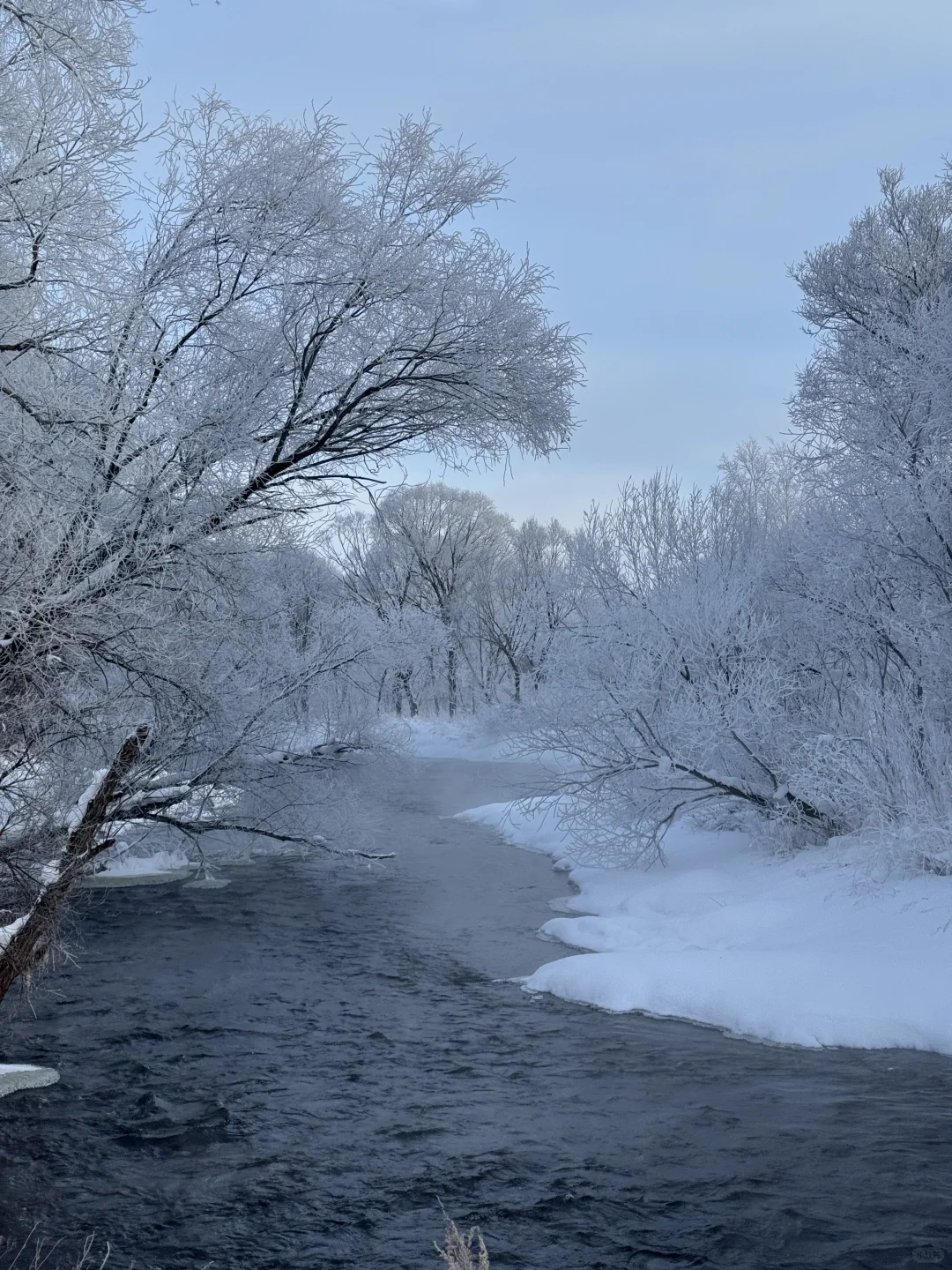 冬日反向旅游！闯入伊春的冰雪童话森林