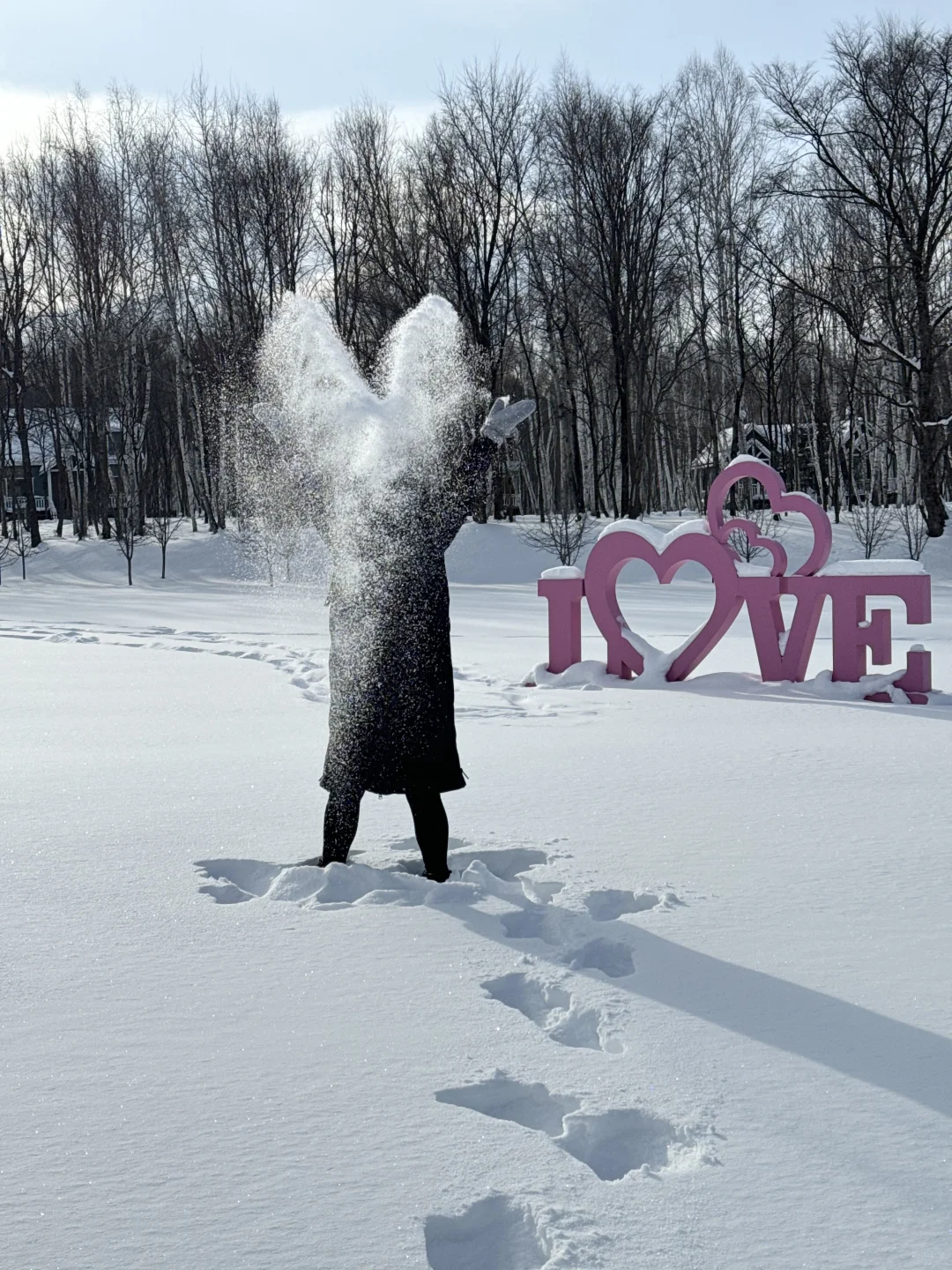 冬日反向旅游！闯入伊春的冰雪童话森林