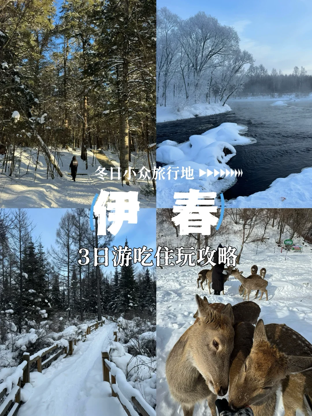 冬日反向旅游！闯入伊春的冰雪童话森林