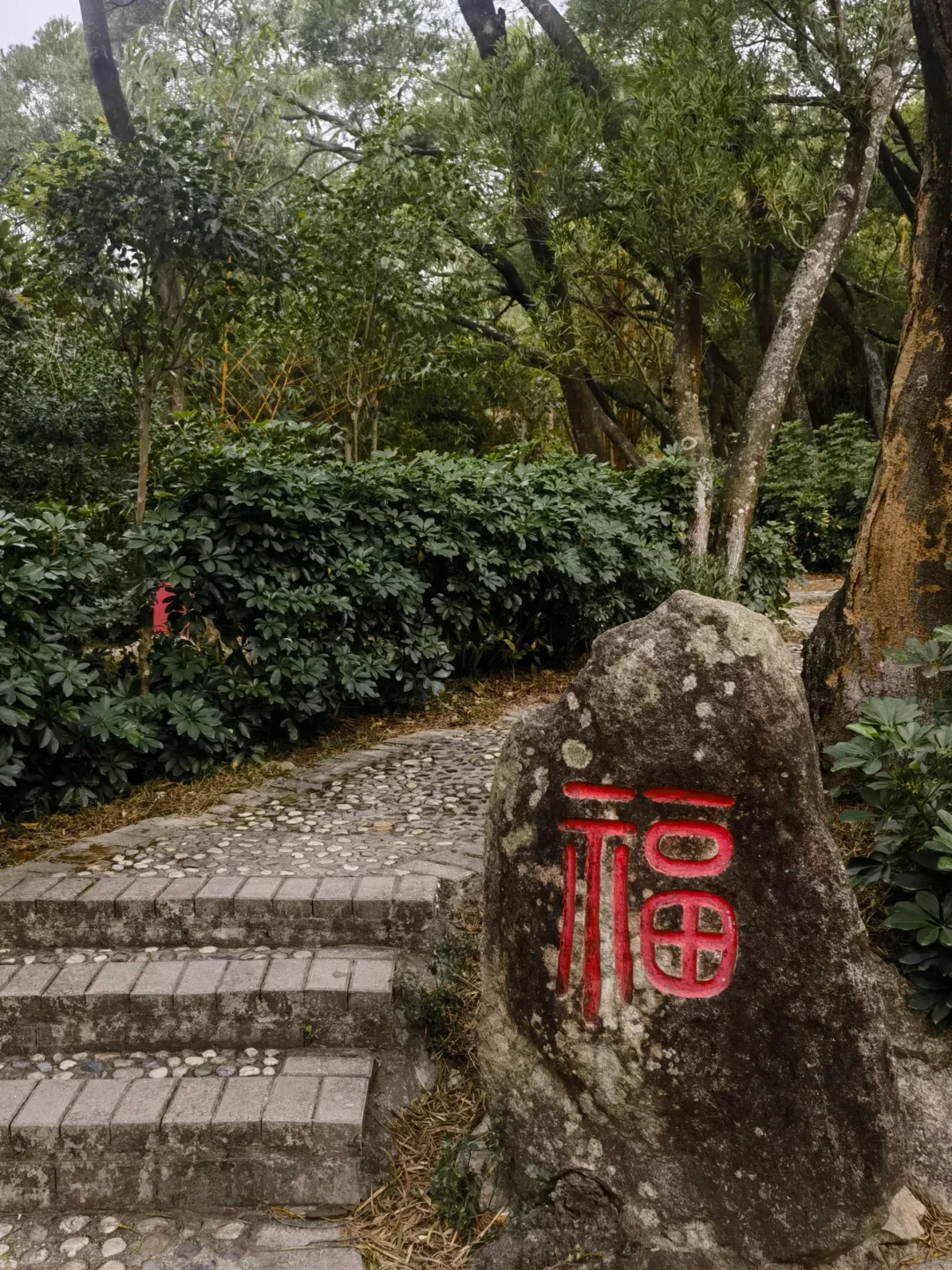 清源山Ｉ5A景区免门票是真香👌