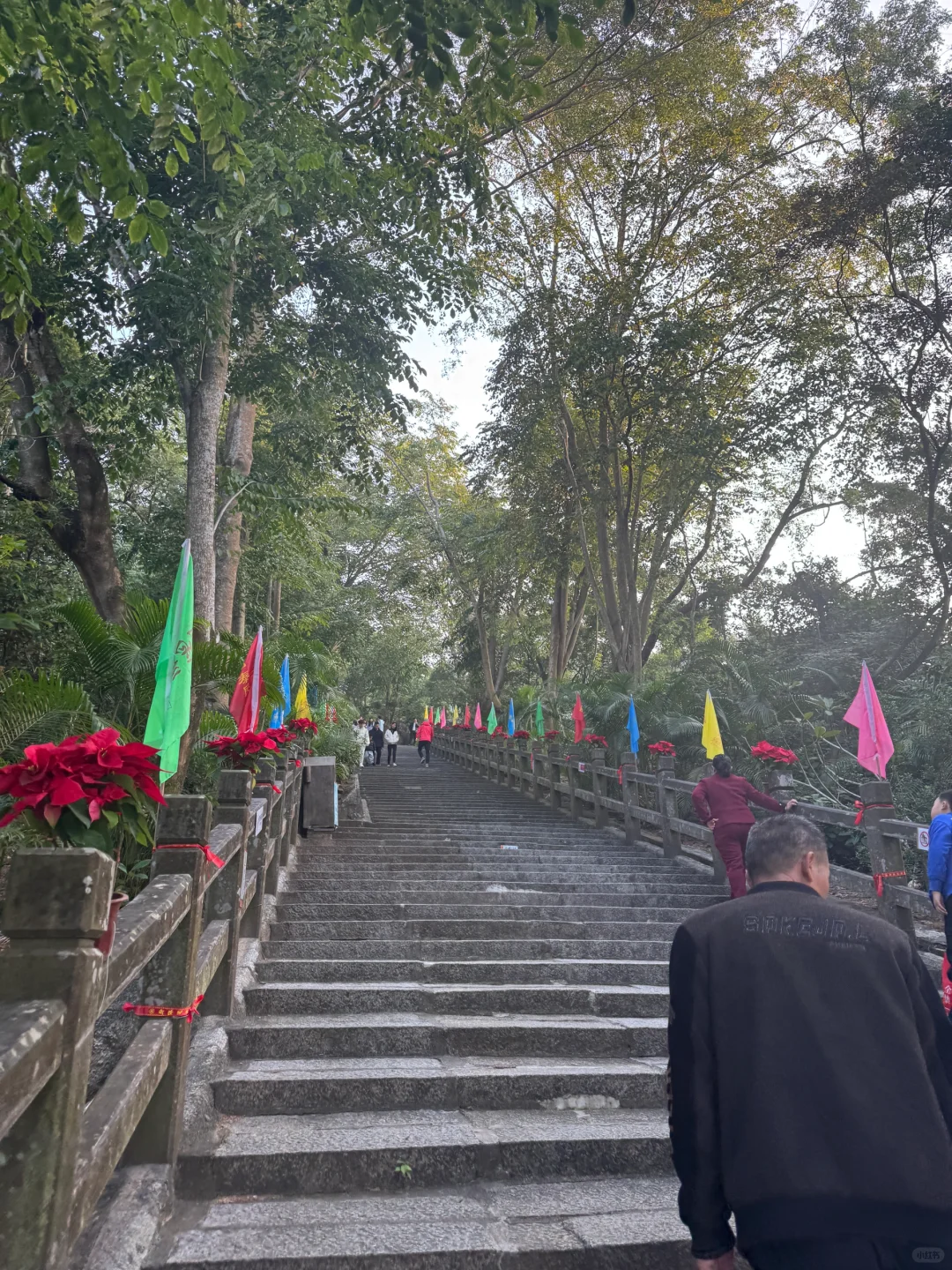 初一登高祈福｜海南万宁东山岭