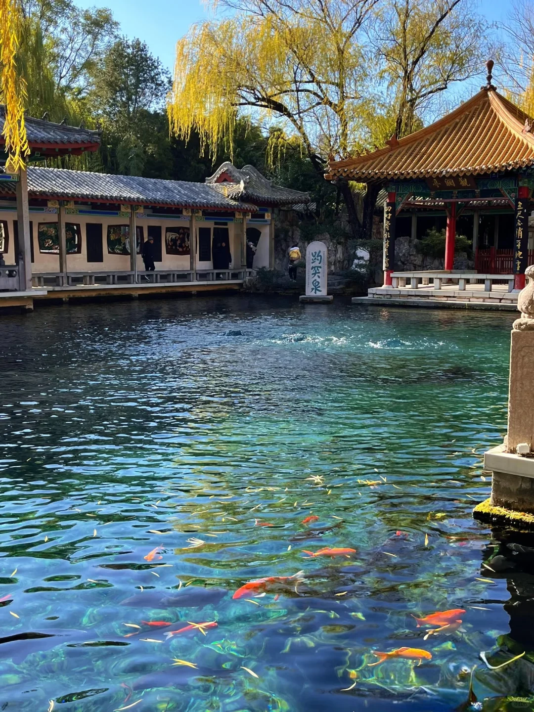 谁说山东没有旅游胜地了？