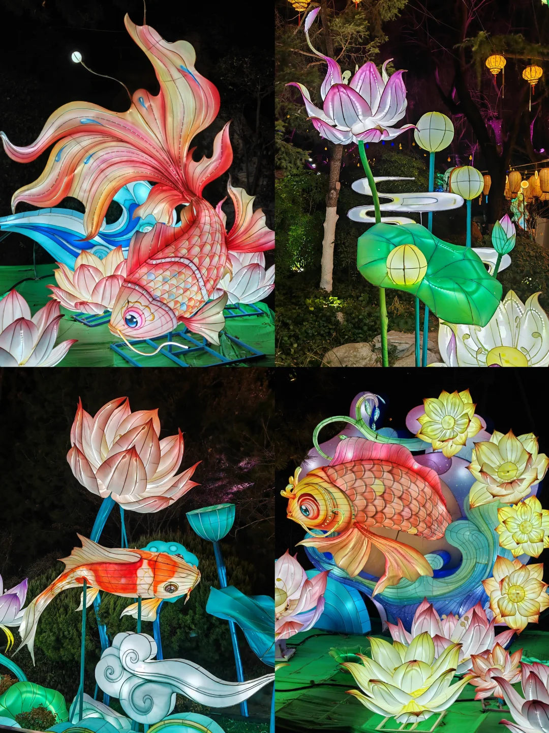 趵突泉花灯“赶灯季”