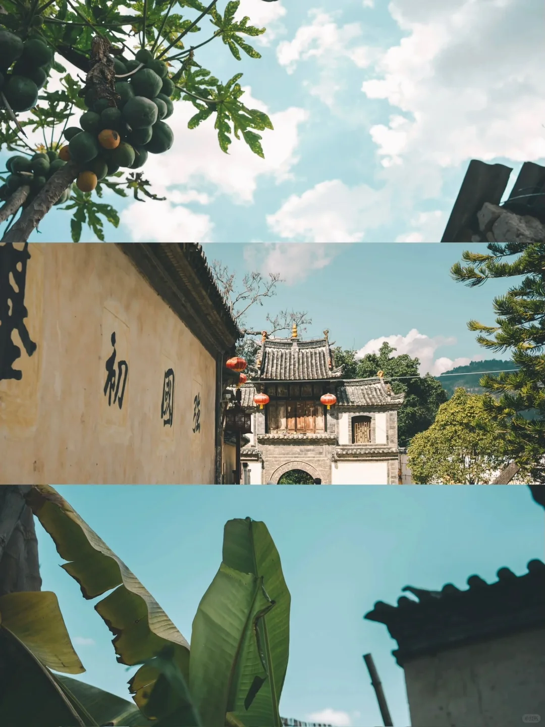 春节一定要冲21°C 的滇东南！反向旅游天花板