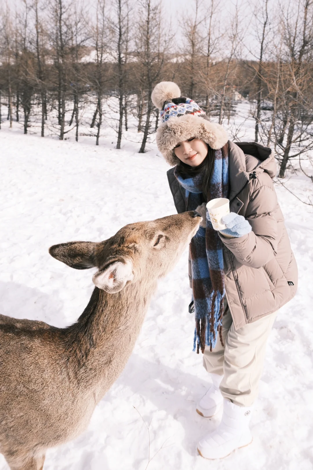 ❄️来之前也没人说冬天乌兰布统是这样的呀…
