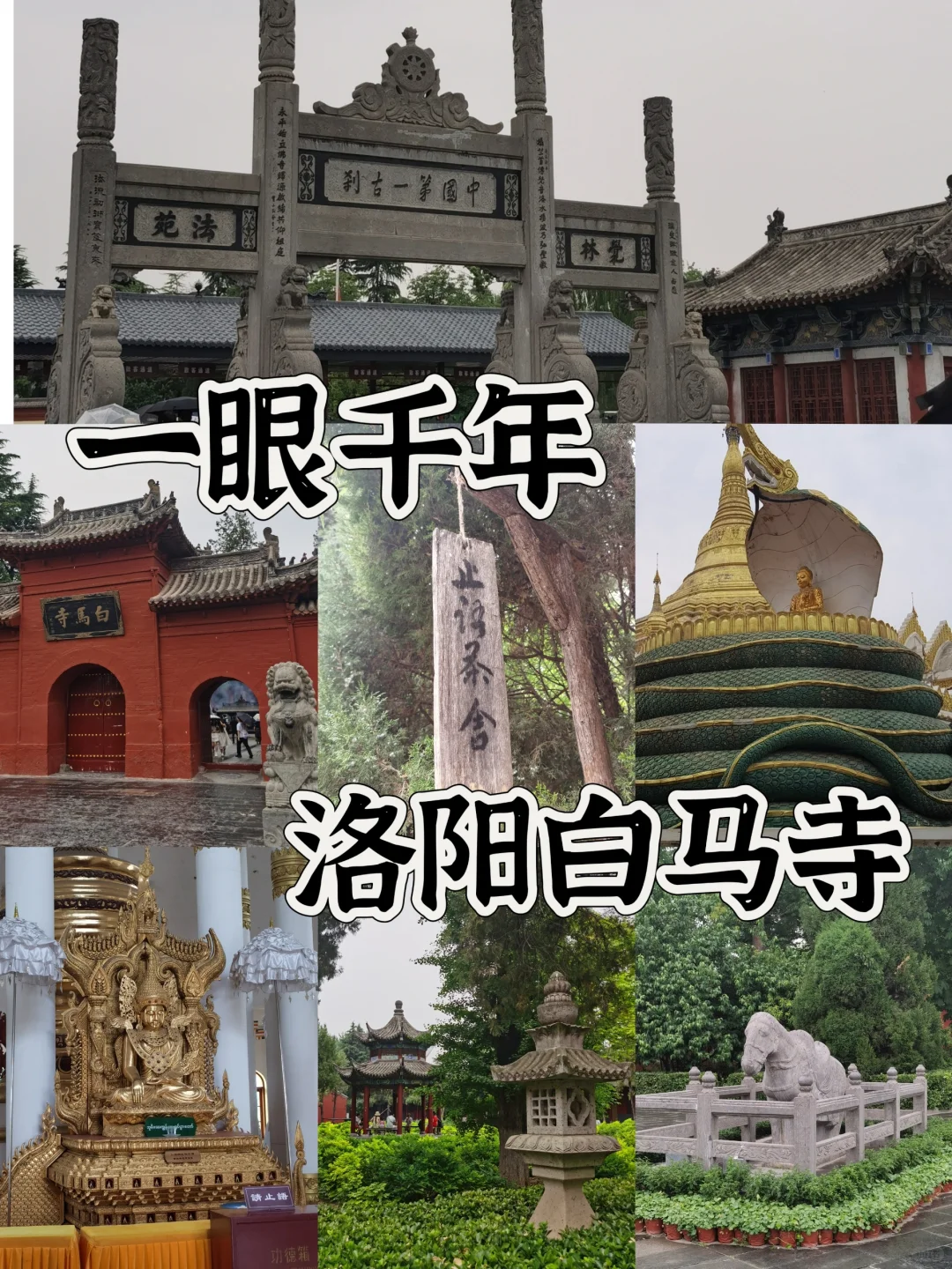 自驾河南🚗两人三天两晚攻略来袭🌈