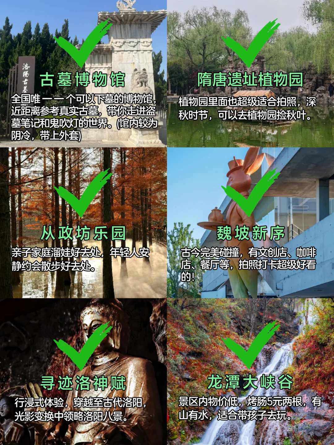 洛阳玩了3天！！忍不住说点大实话😥