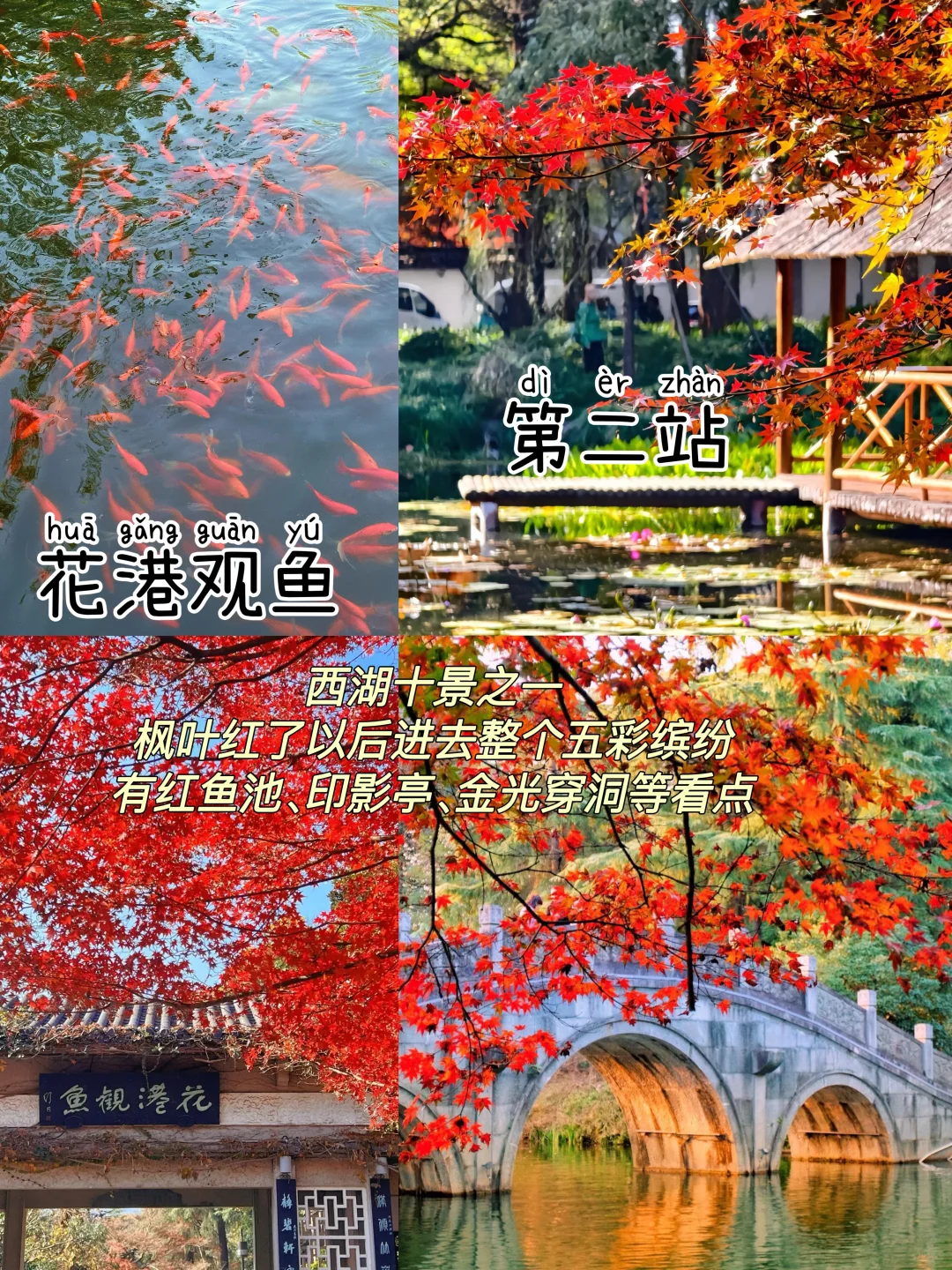 先出发再说｜杭州📍三天两夜，不废腿逛吃攻略